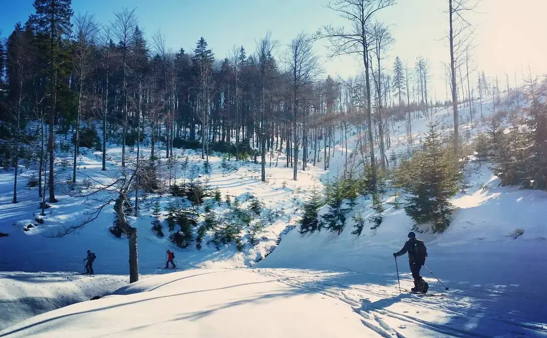 Zdjęcie tła oferty