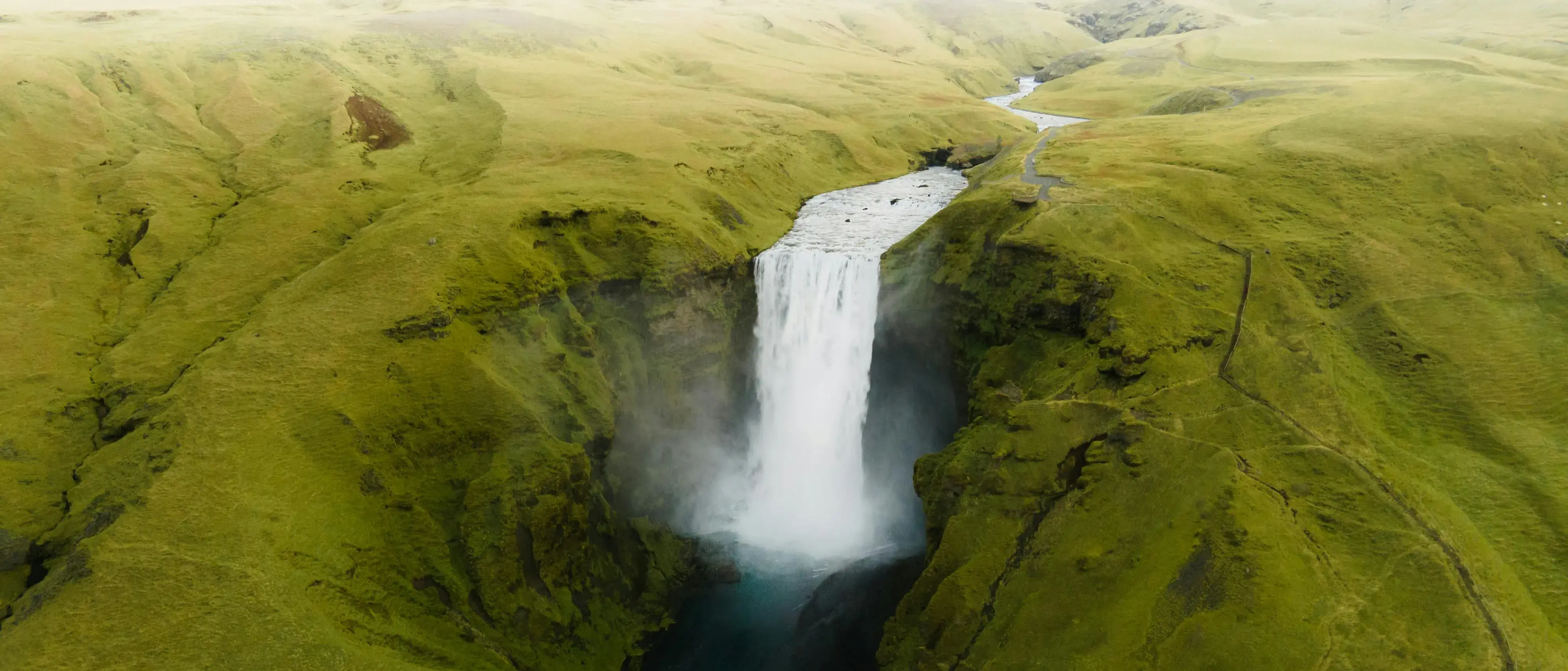 Zdjęcie tła oferty