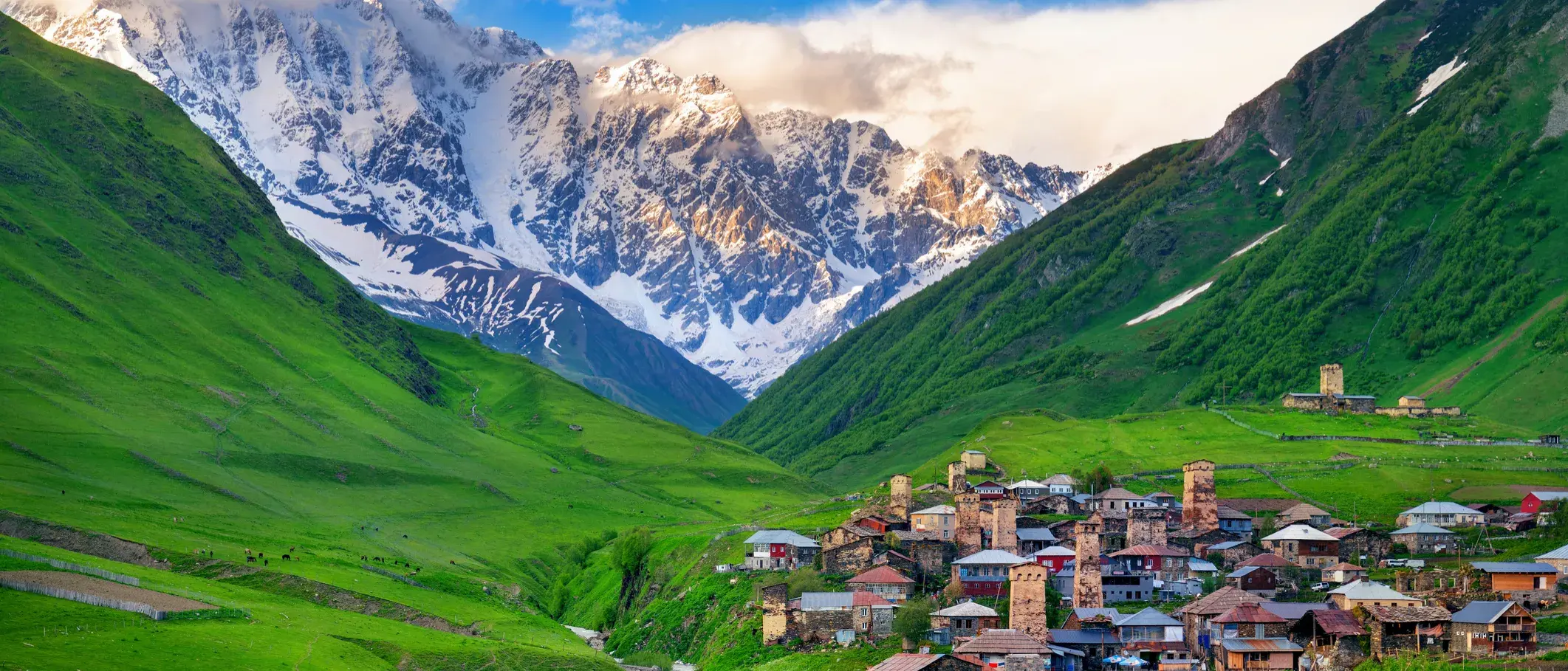 Zdjęcie tła oferty