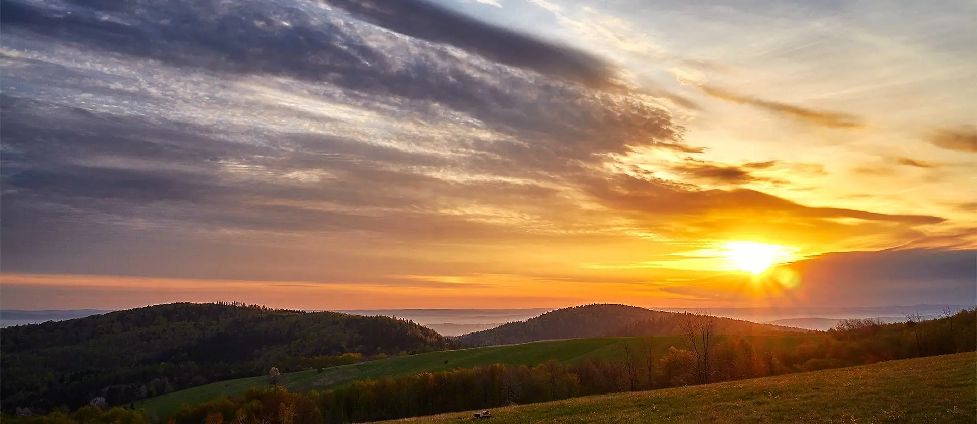 Zdjęcie tła oferty