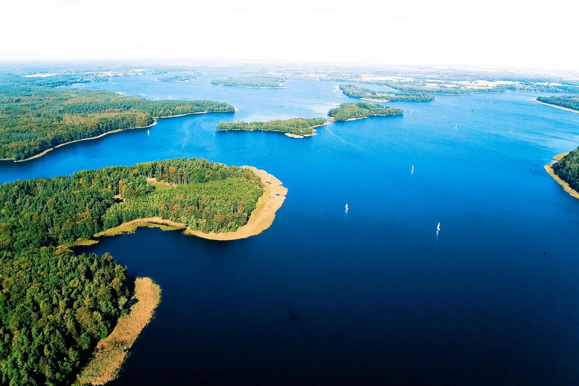 Zdjęcie tła oferty