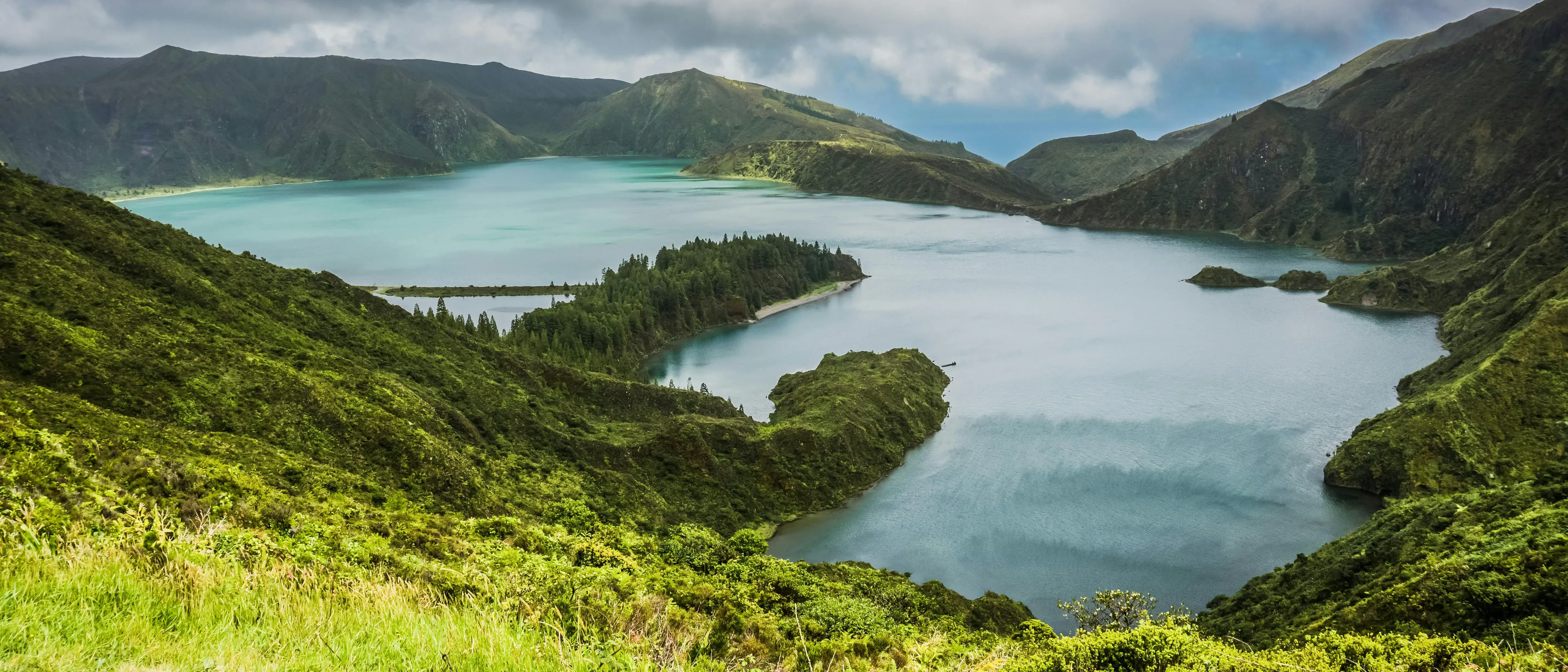 Zdjęcie tła oferty