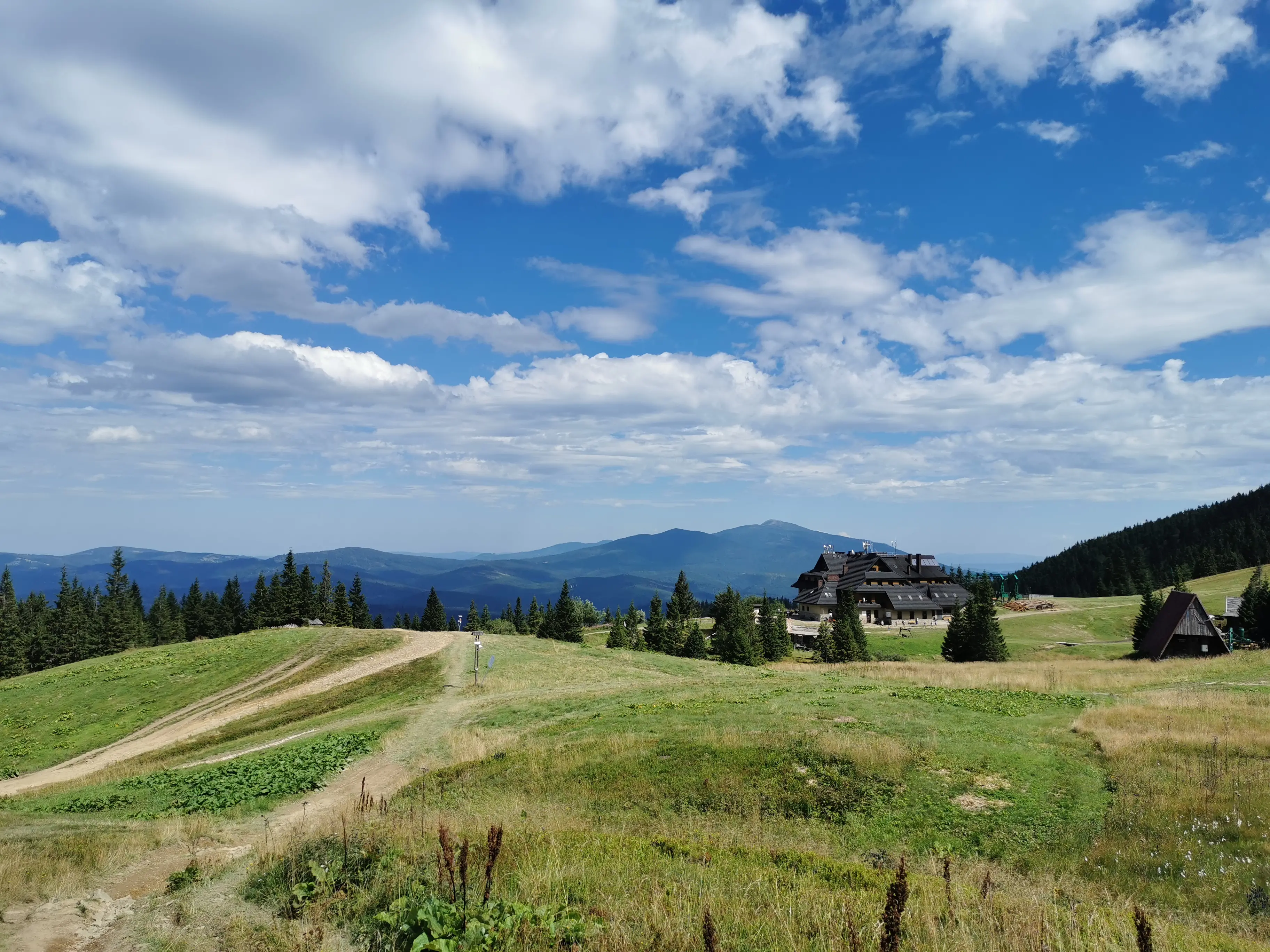 Zdjęcie tła oferty