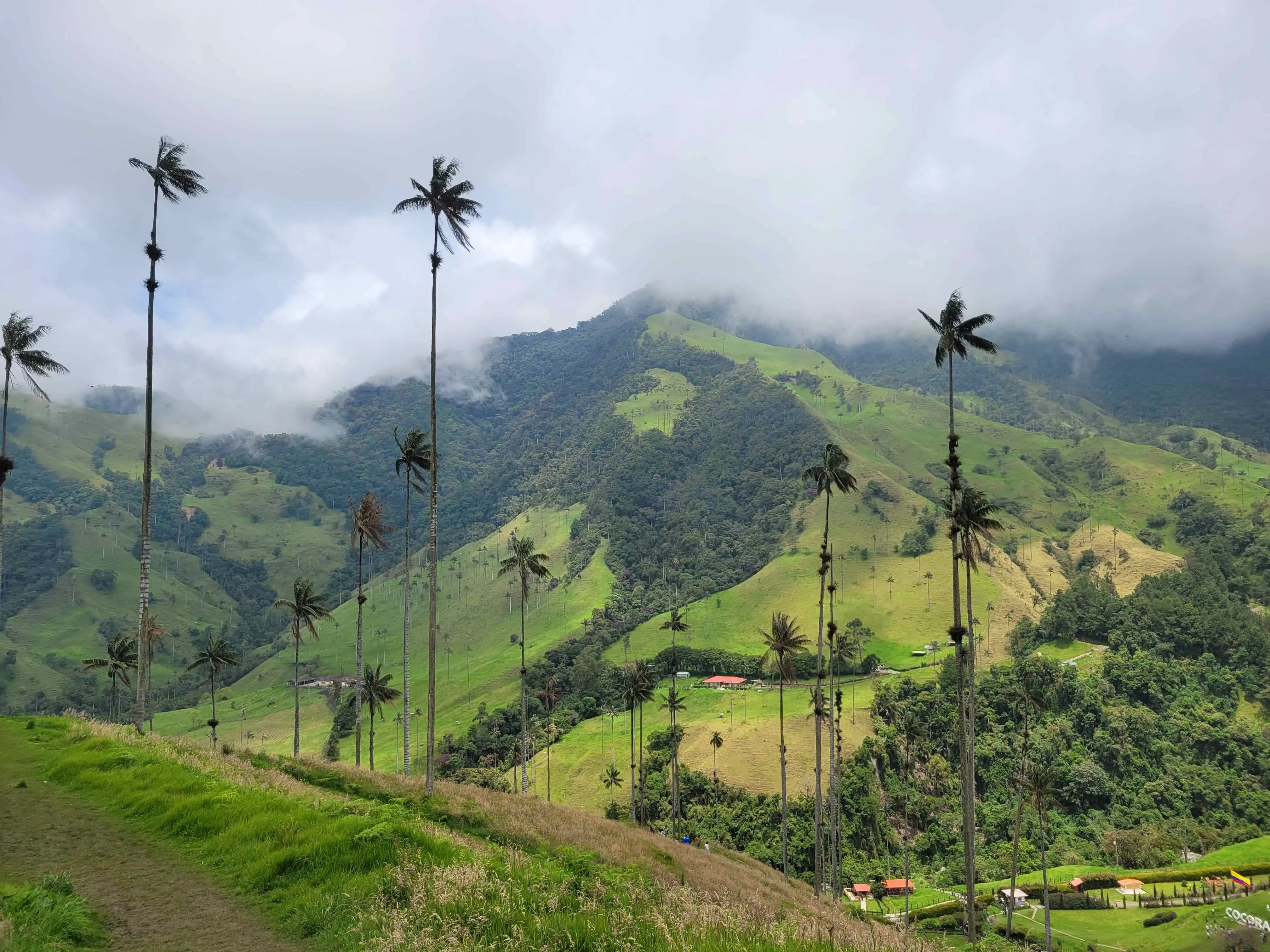 Zdjęcie tła oferty