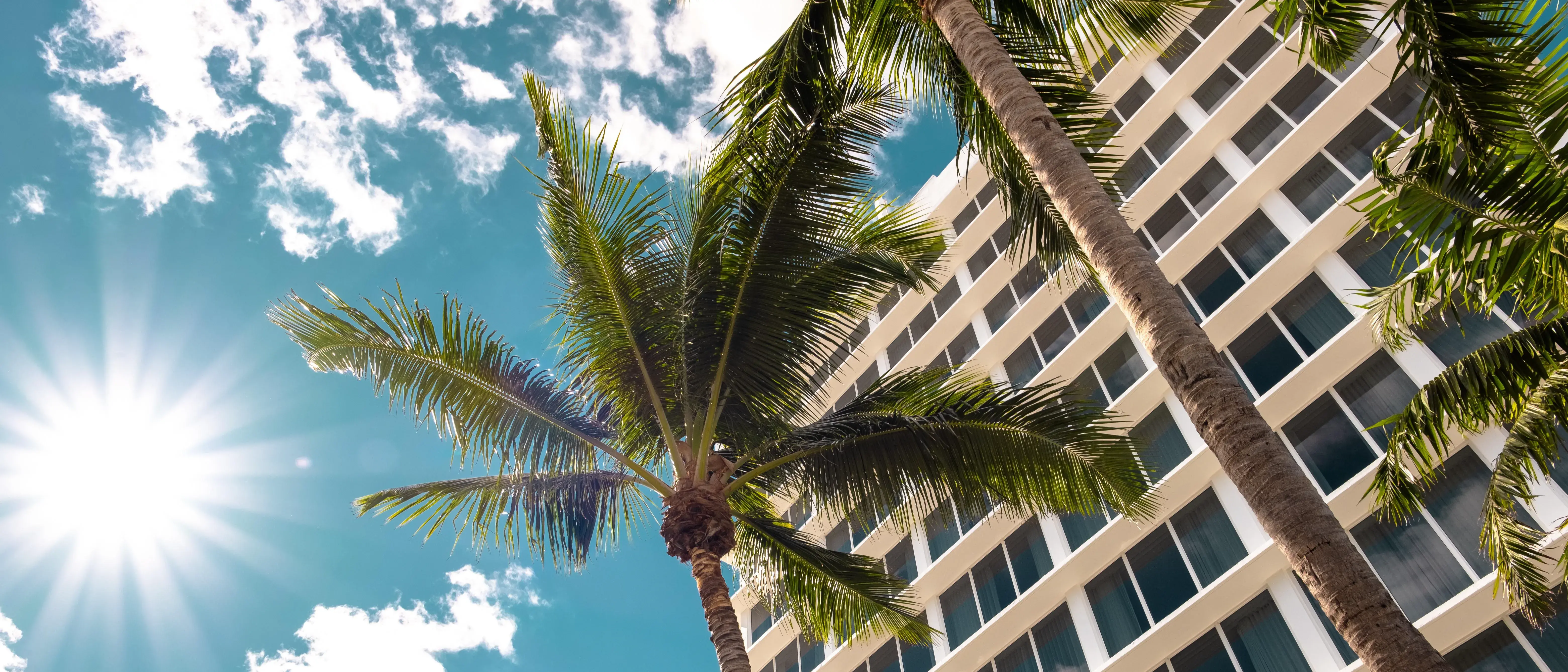 Zdjęcie tła oferty