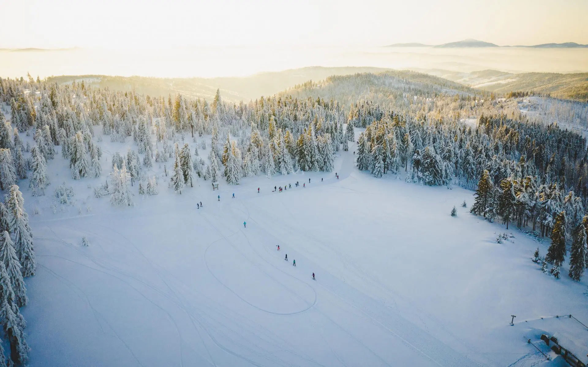 Zdjęcie tła oferty