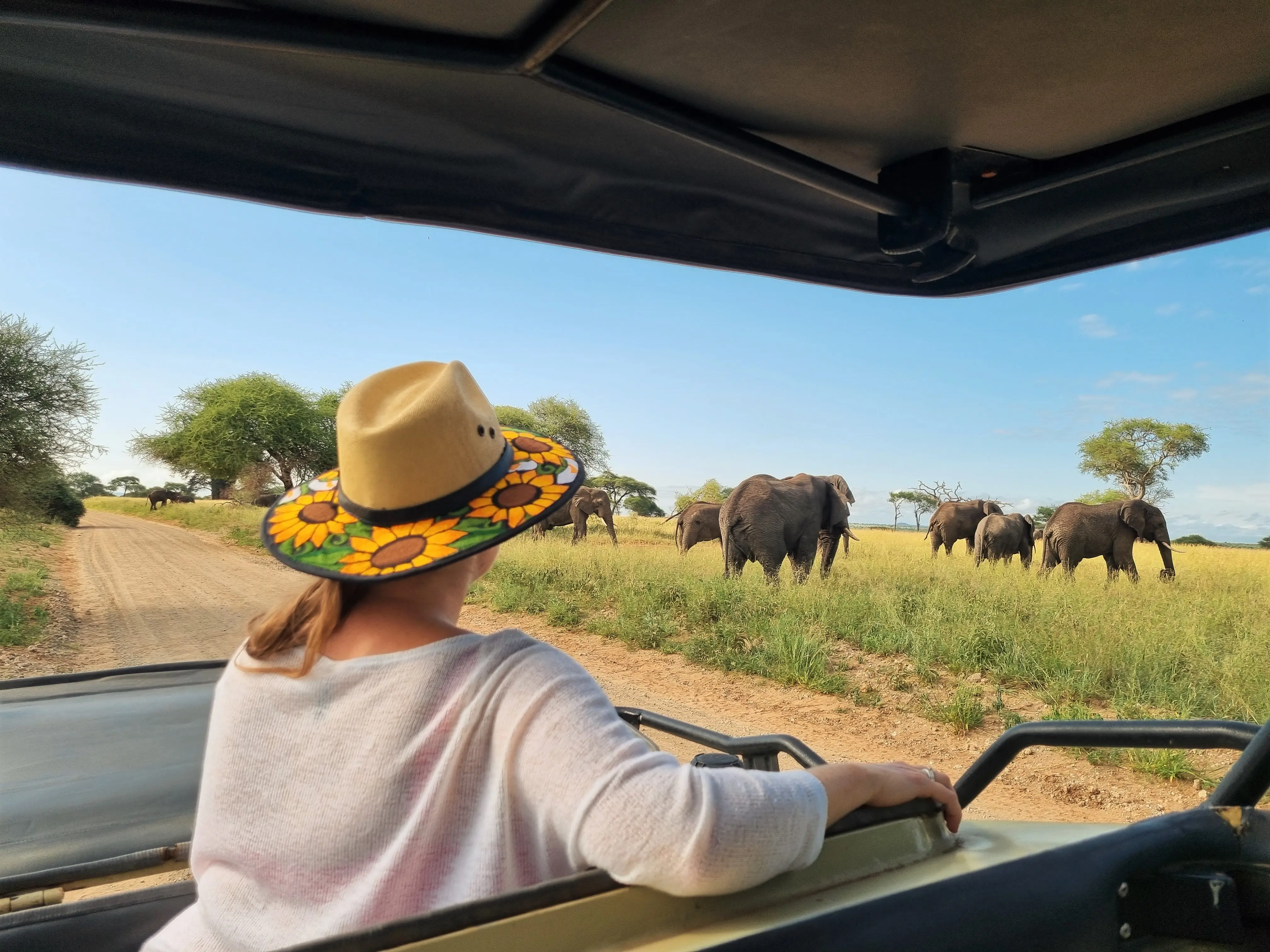 Zdjęcie tła oferty