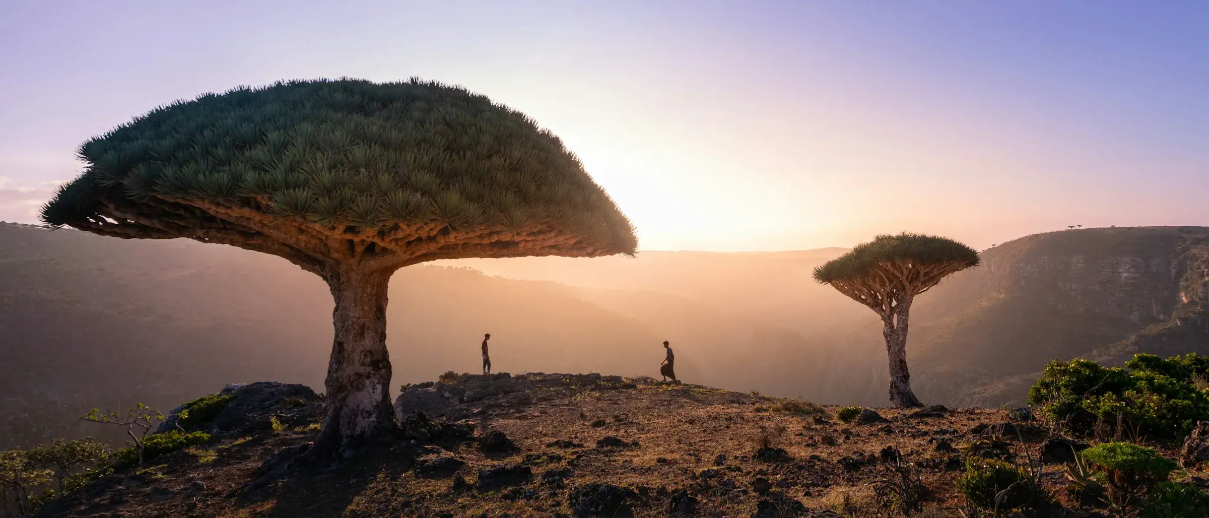 Zdjęcie tła oferty