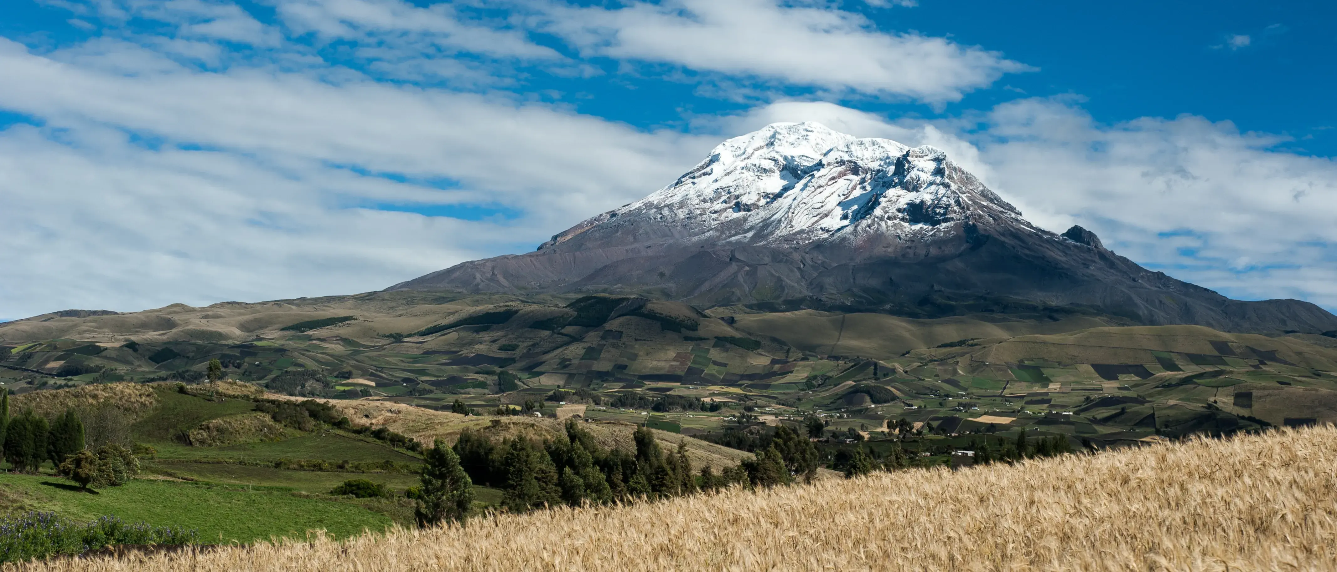 Zdjęcie tła oferty