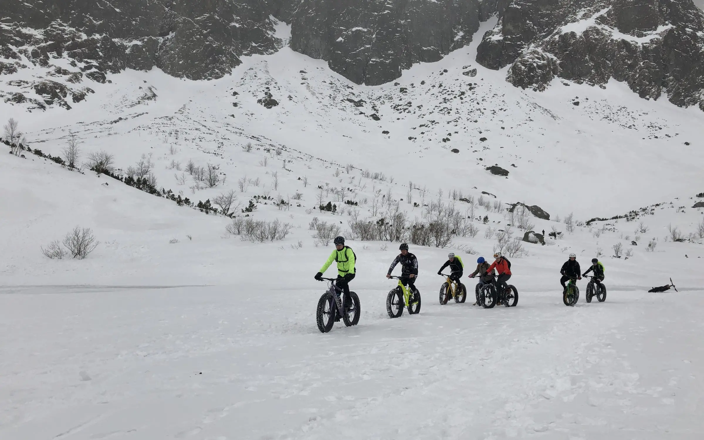 Zdjęcie tła oferty