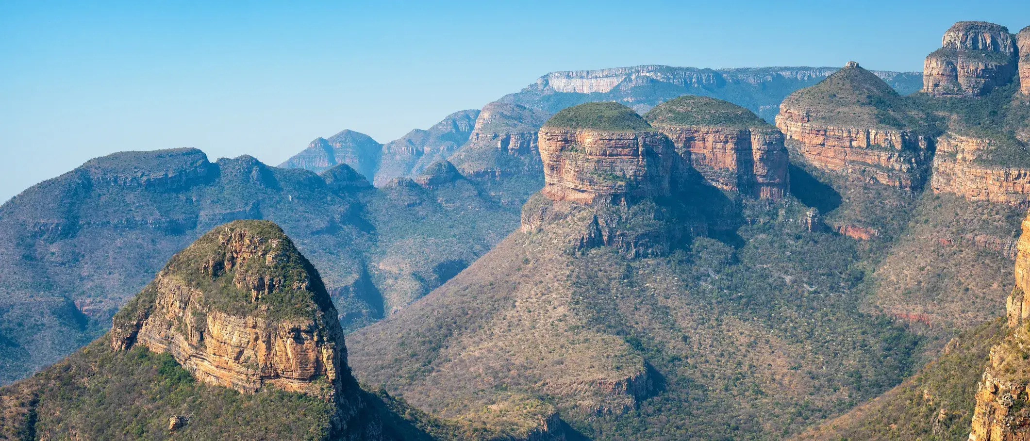 Zdjęcie tła oferty