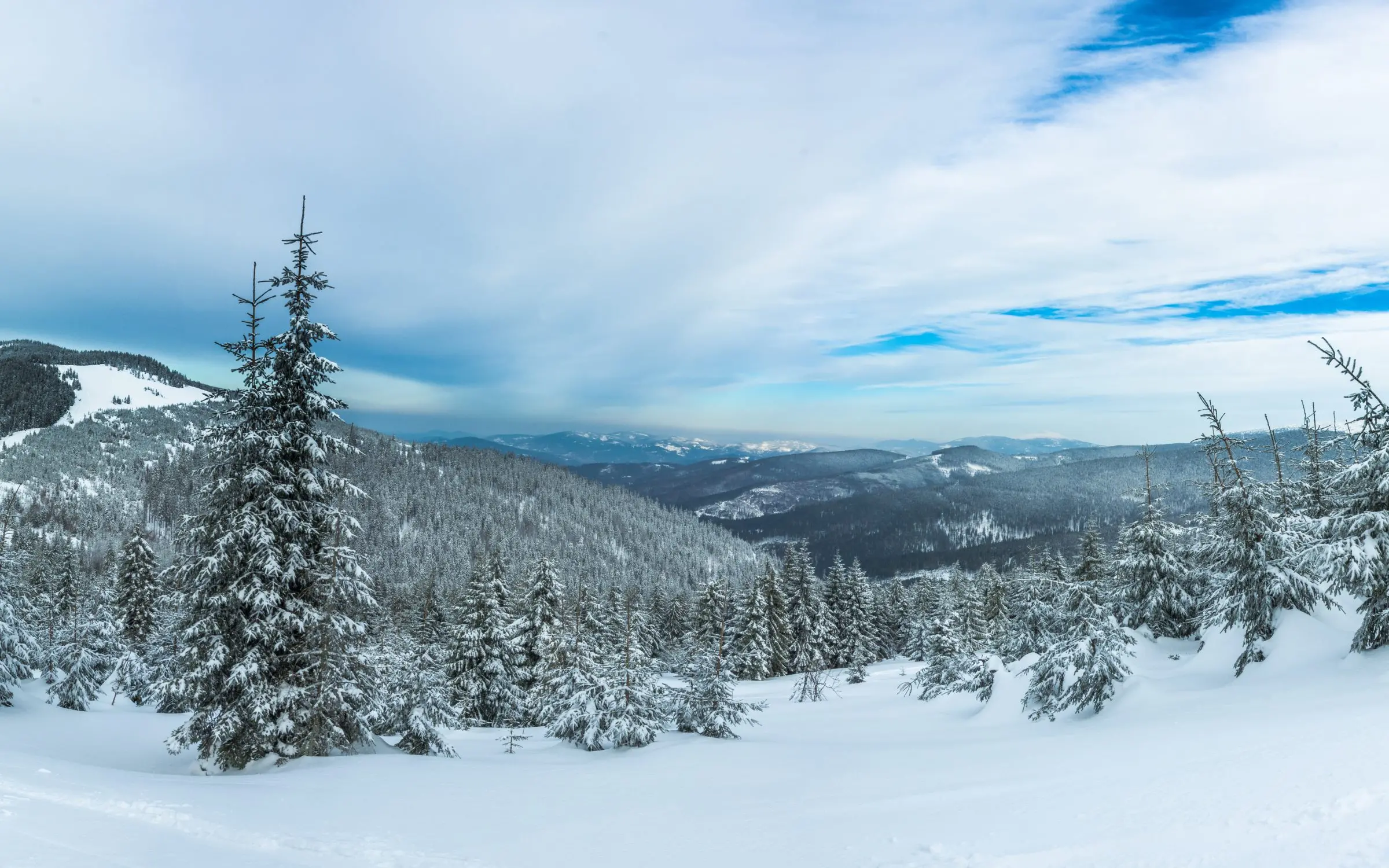 Zdjęcie tła oferty