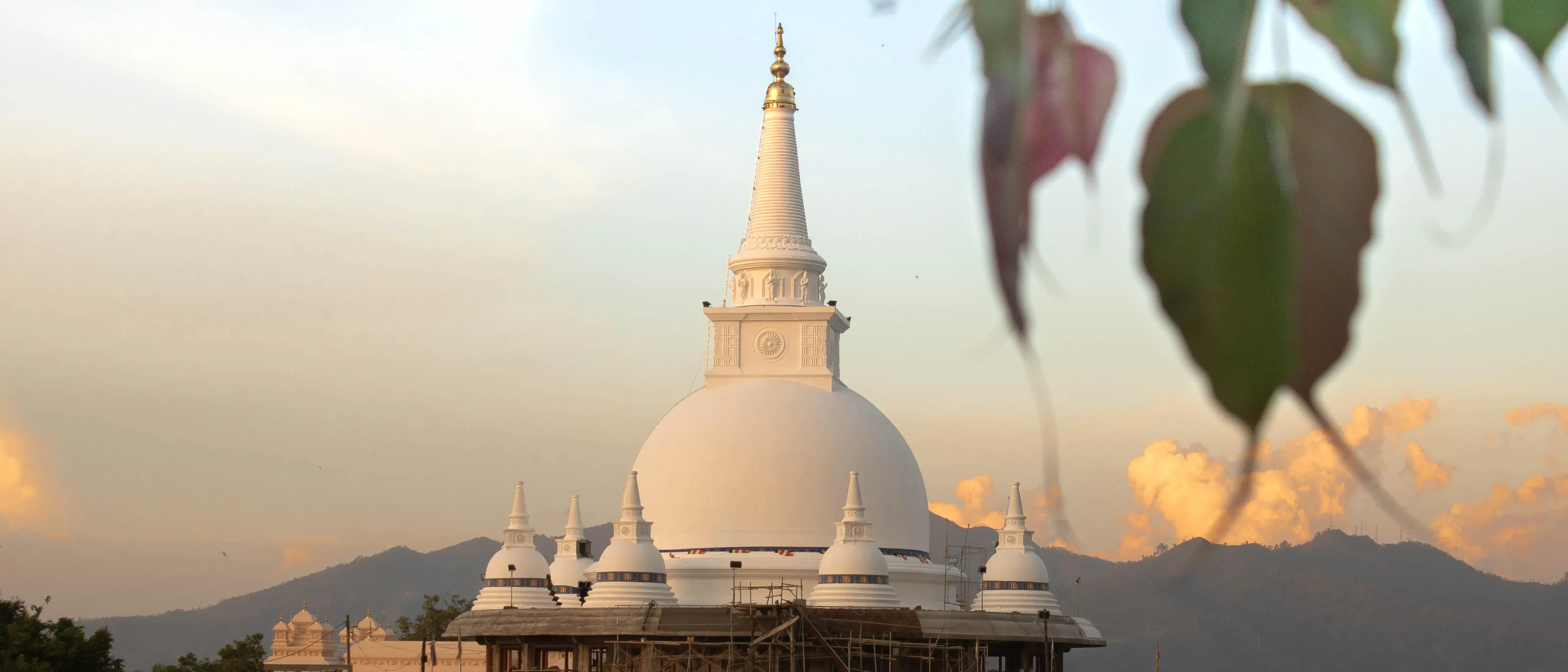 Zdjęcie tła oferty