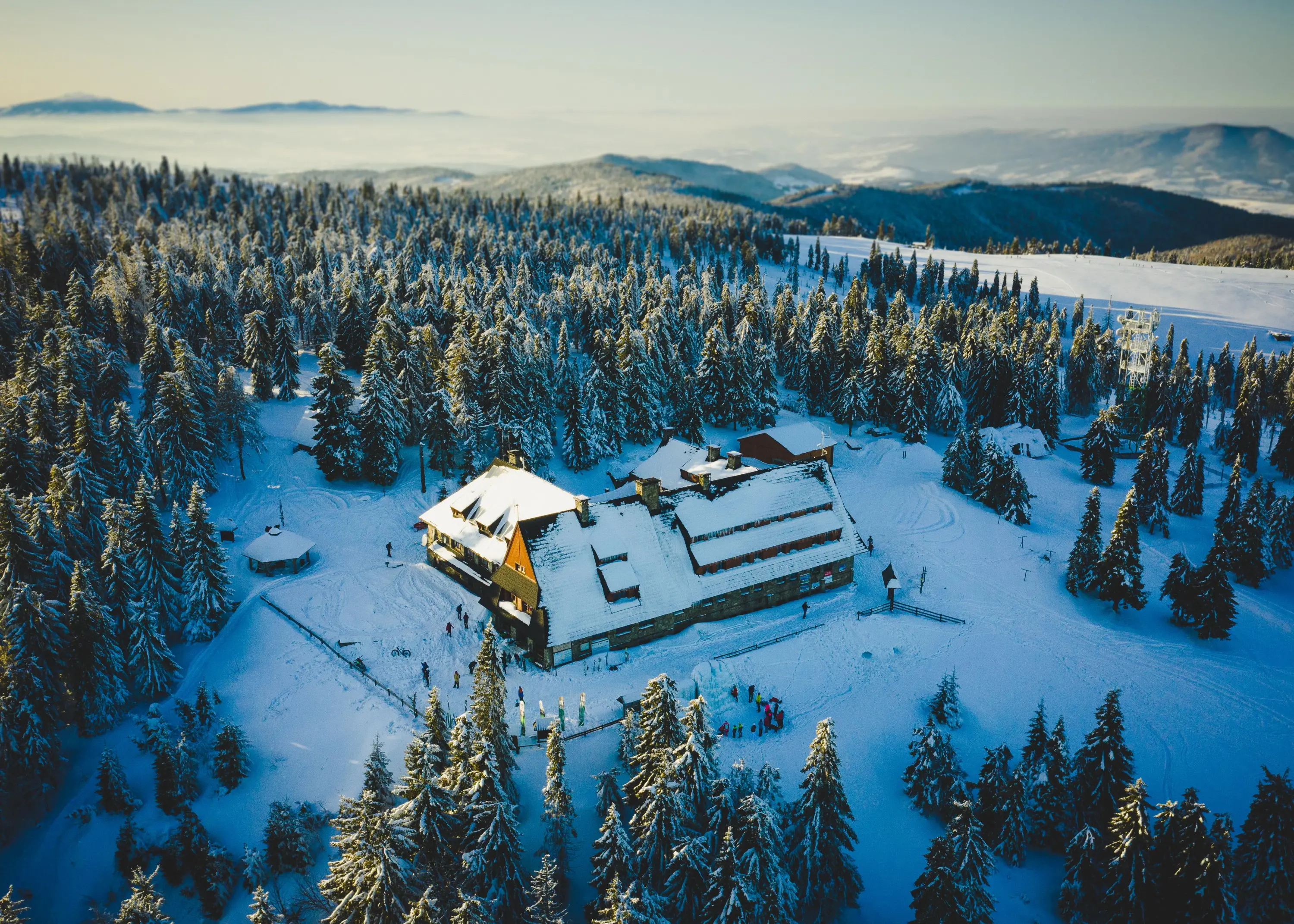 Zdjęcie tła oferty