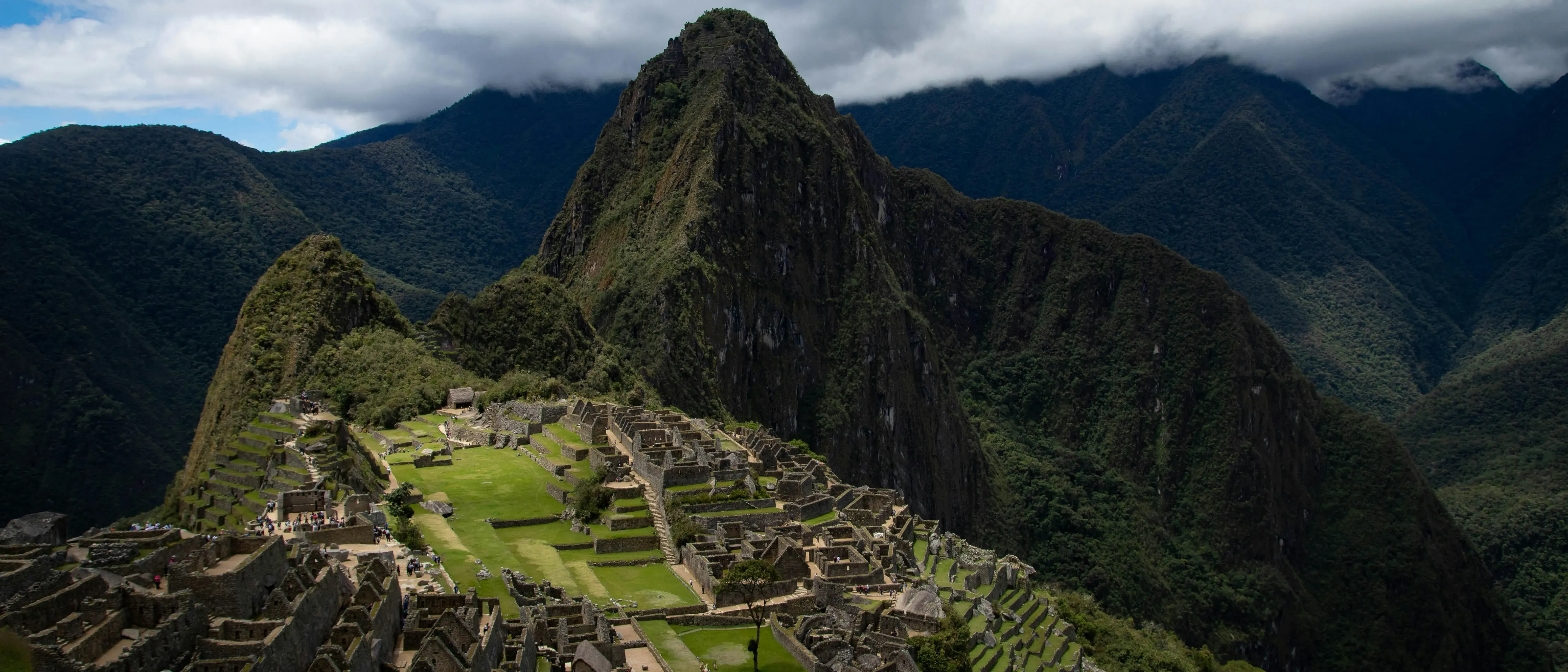 Zdjęcie tła oferty