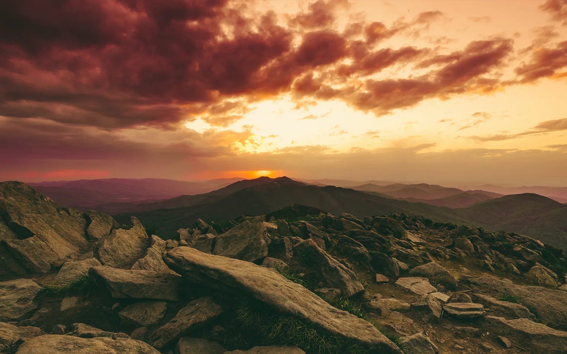 Zdjęcie tła oferty