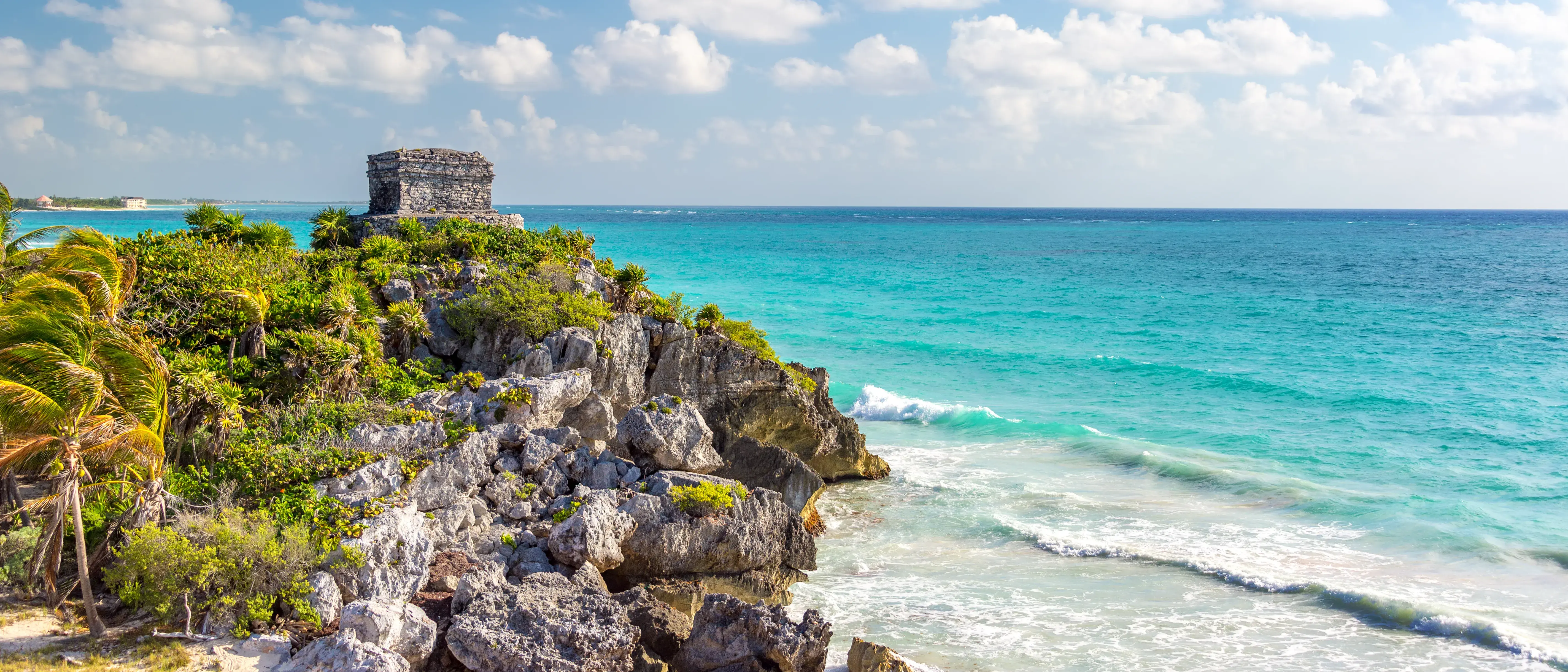 Zdjęcie tła oferty