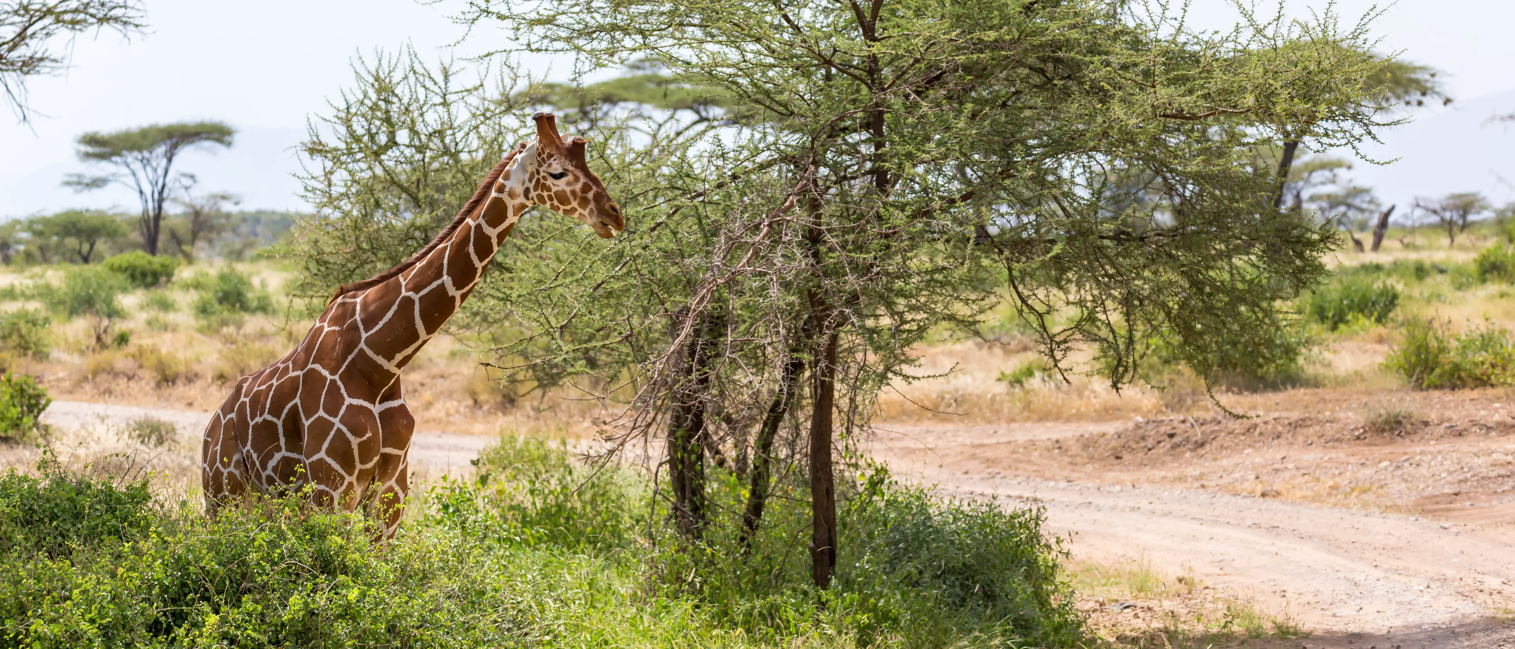 Zdjęcie z programu wyjazdu