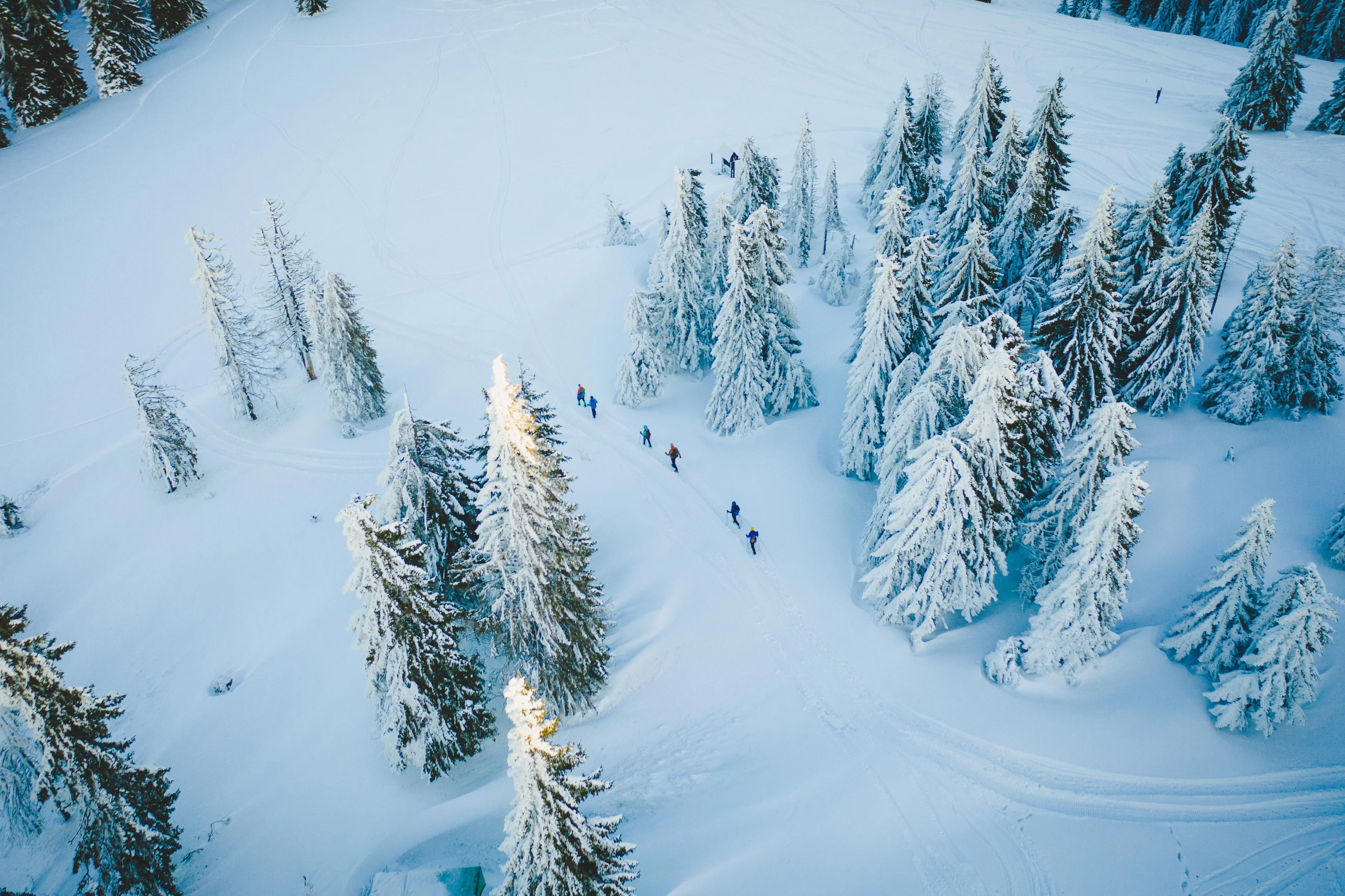 Zdjęcie z programu wyjazdu