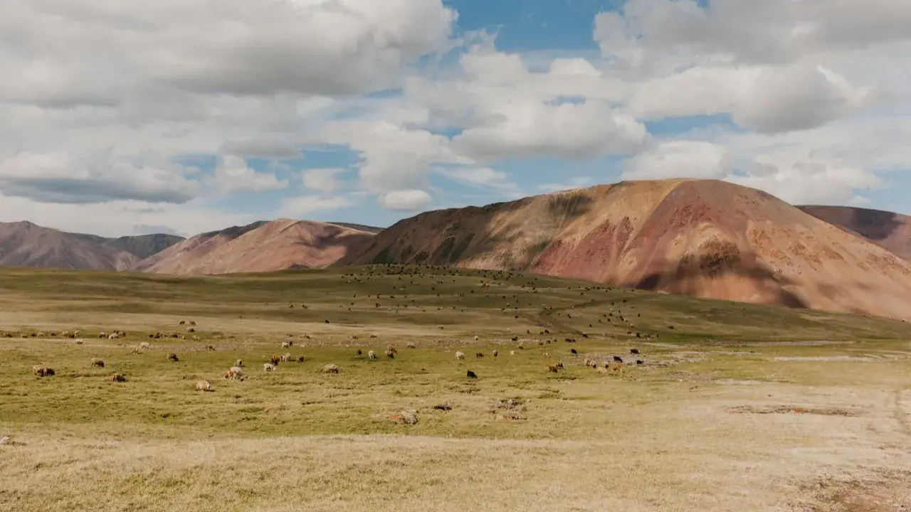 Zdjęcie z programu wyjazdu