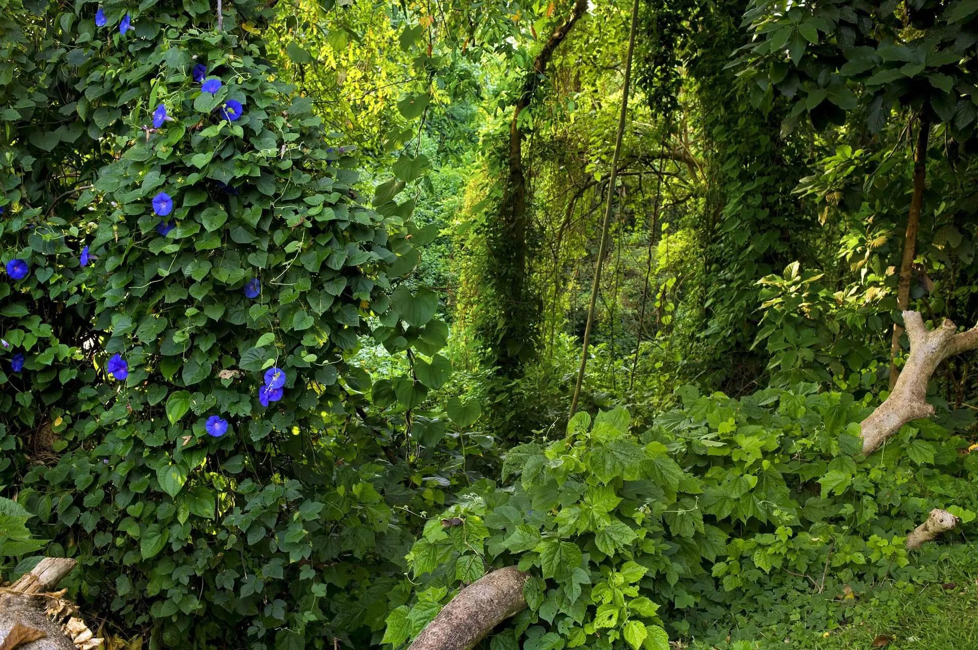 Zdjęcie z programu wyjazdu