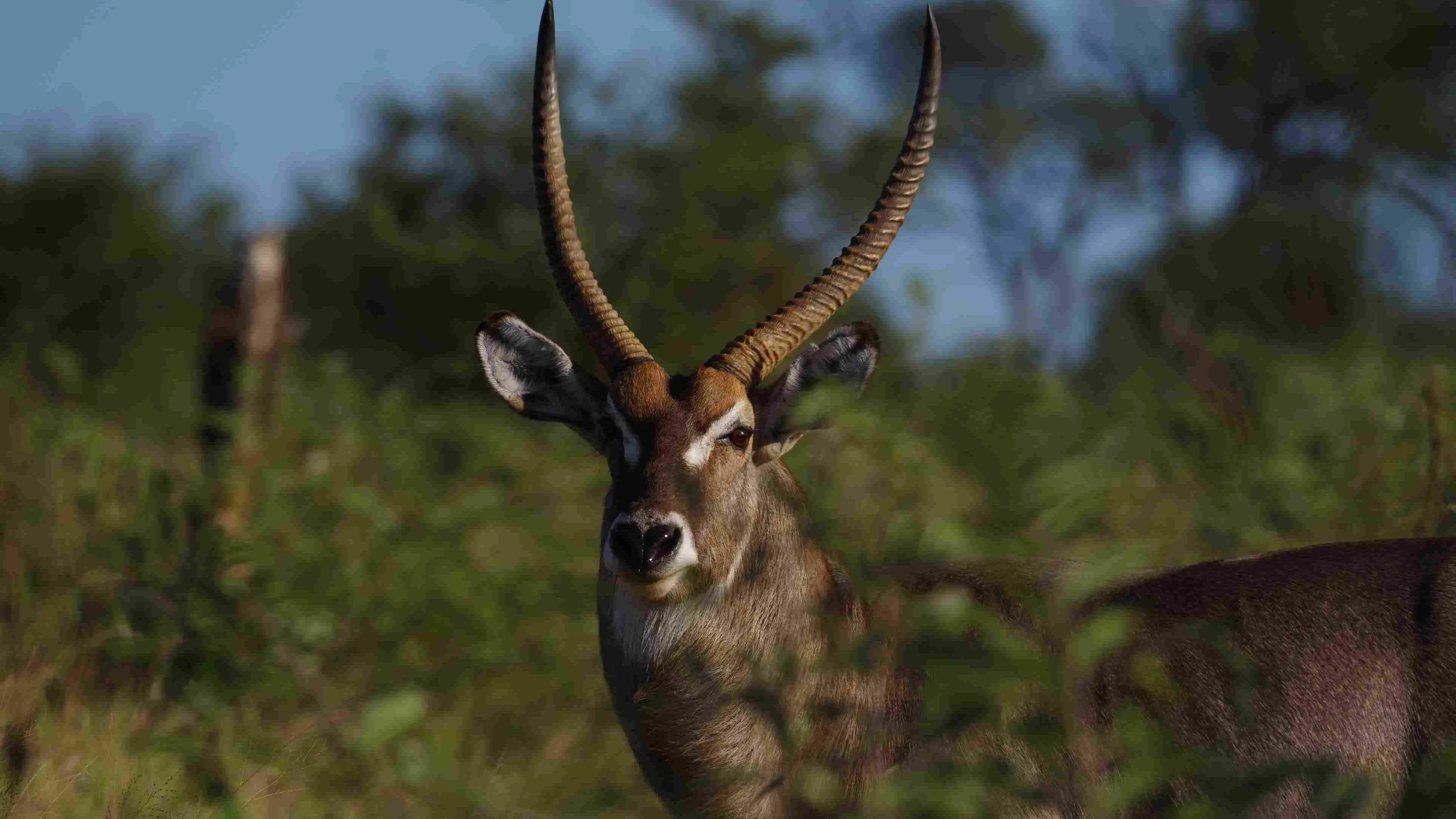 Zdjęcie z programu wyjazdu