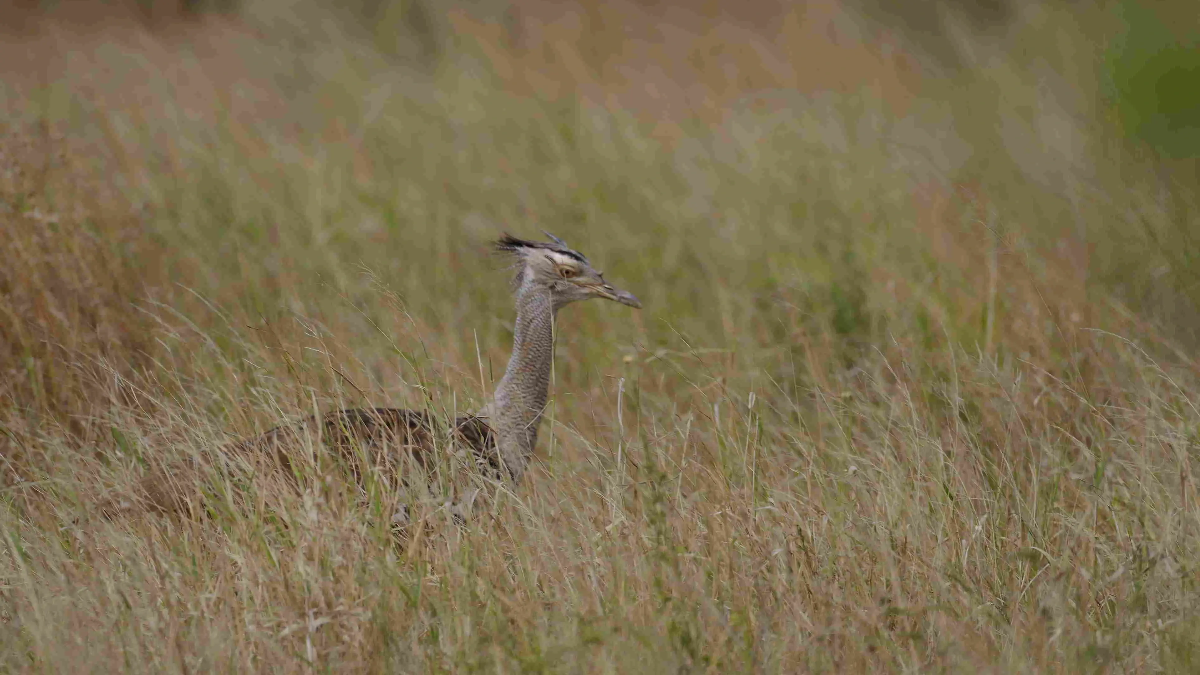 Zdjęcie z programu wyjazdu