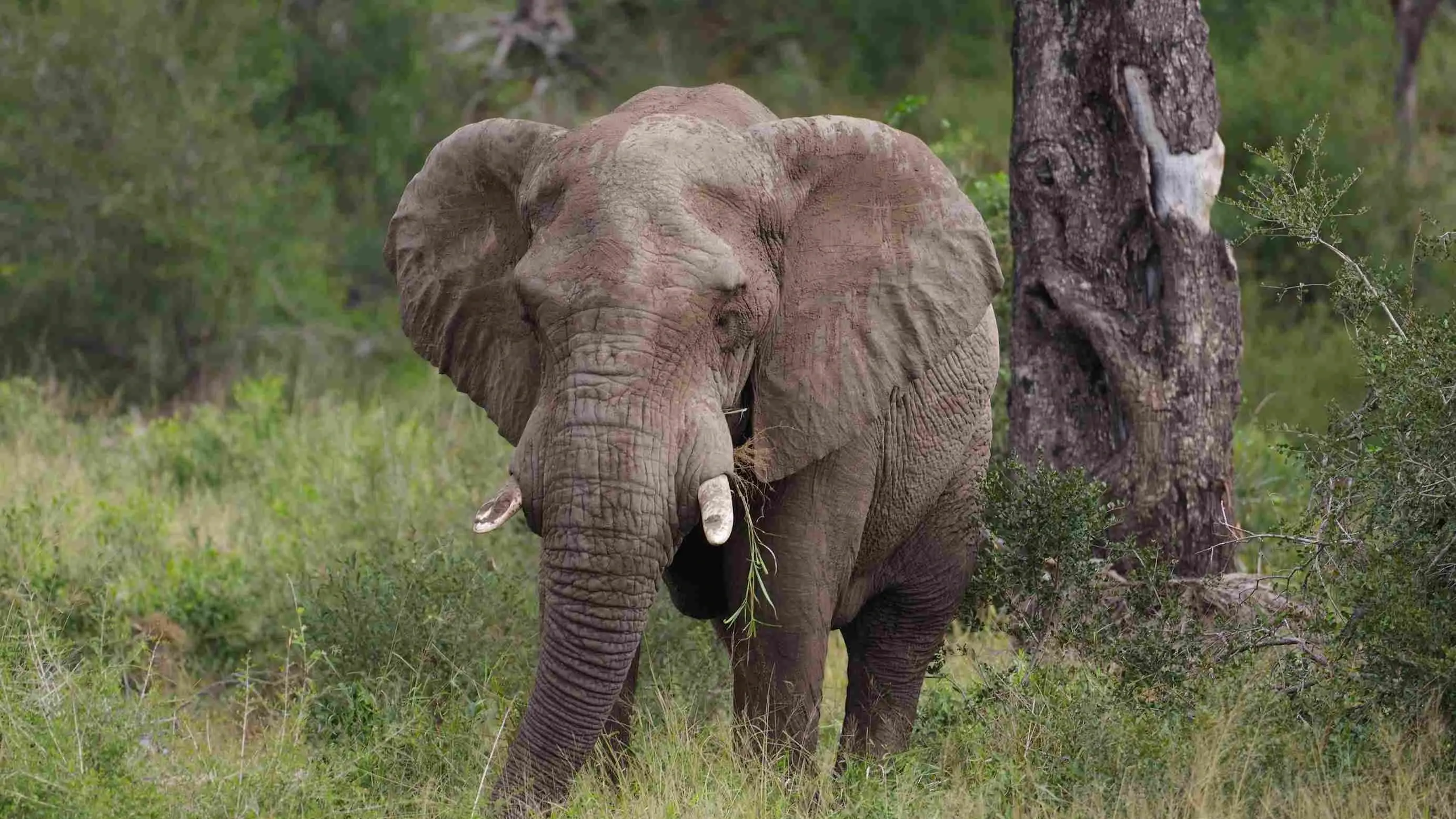 Zdjęcie z programu wyjazdu