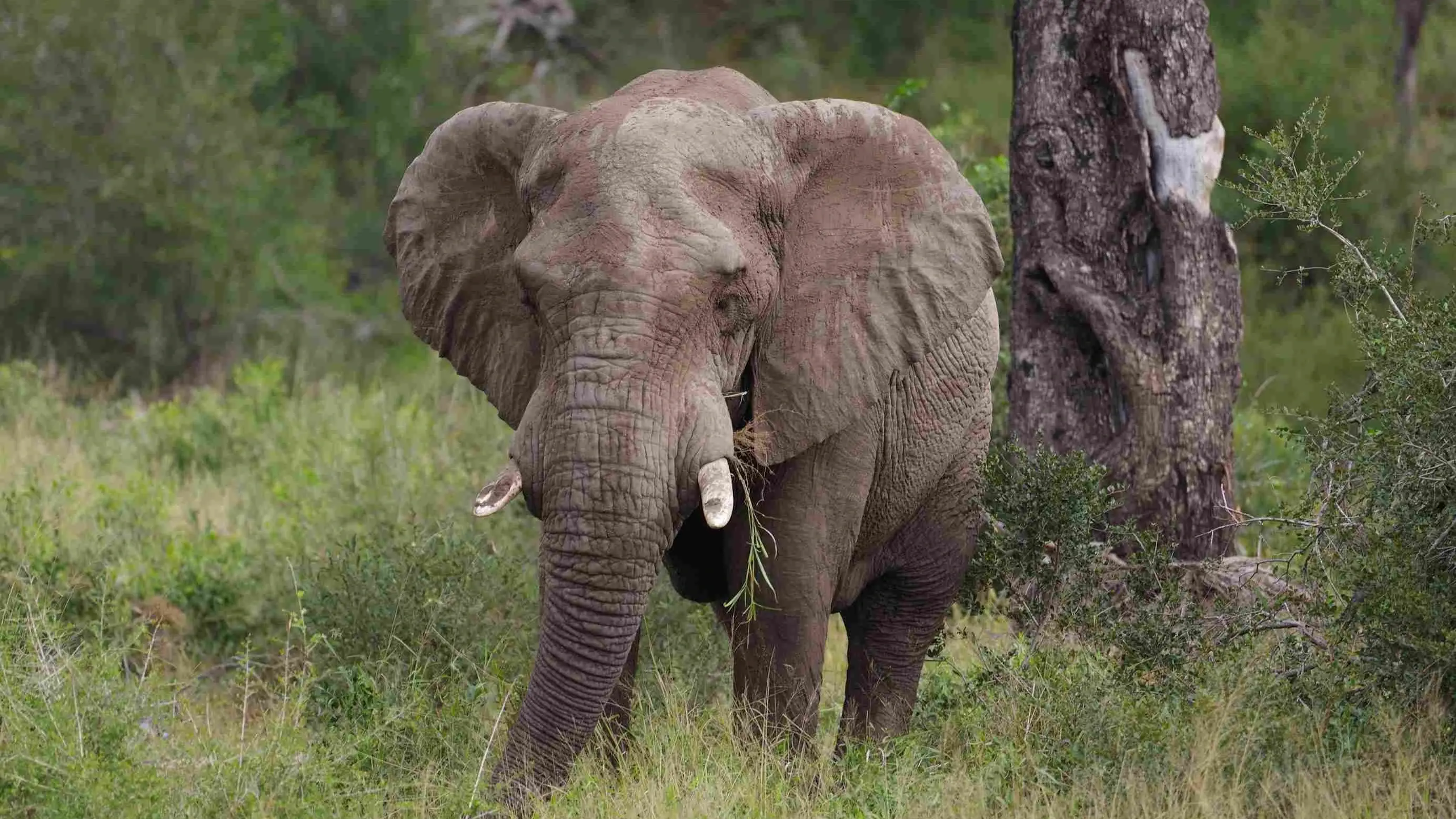 Zdjęcie dodatku podróży