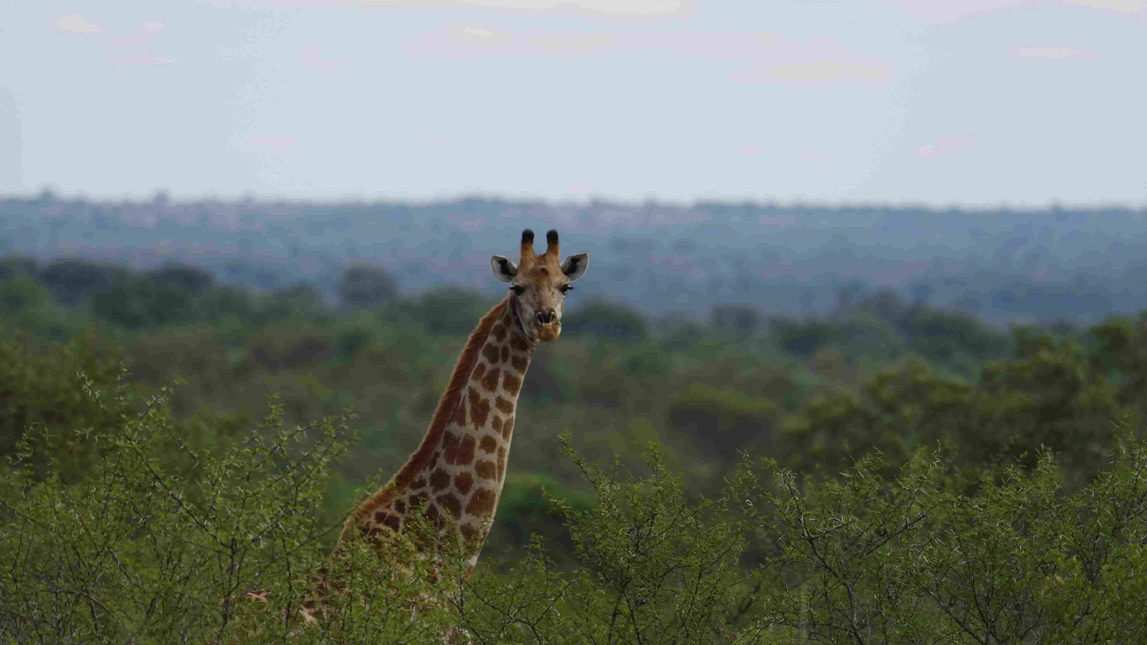 Zdjęcie z programu wyjazdu