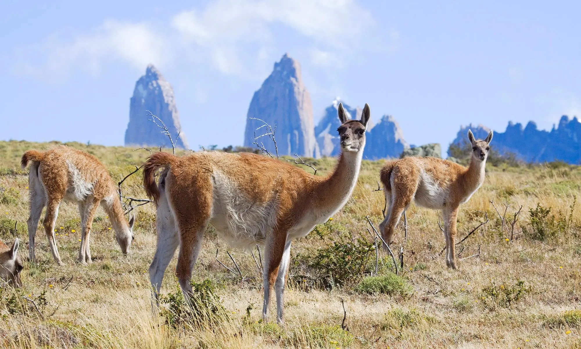 Zdjęcie z programu wyjazdu