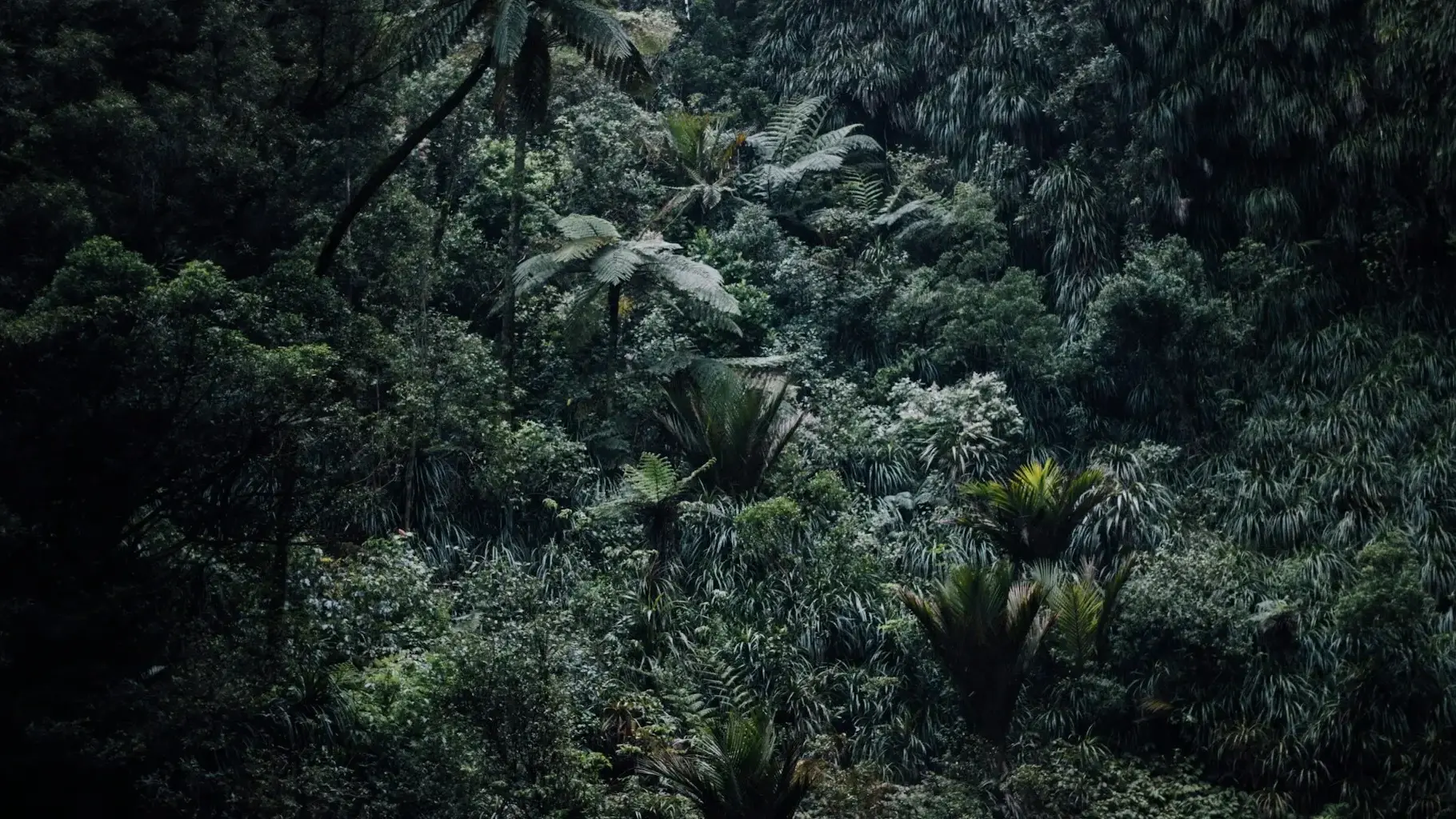 Zdjęcie z programu wyjazdu