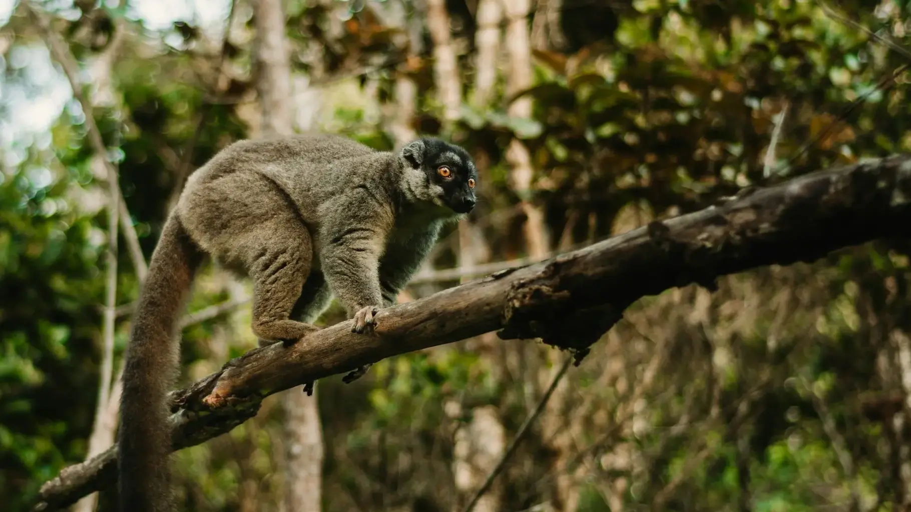 Zdjęcie z programu wyjazdu