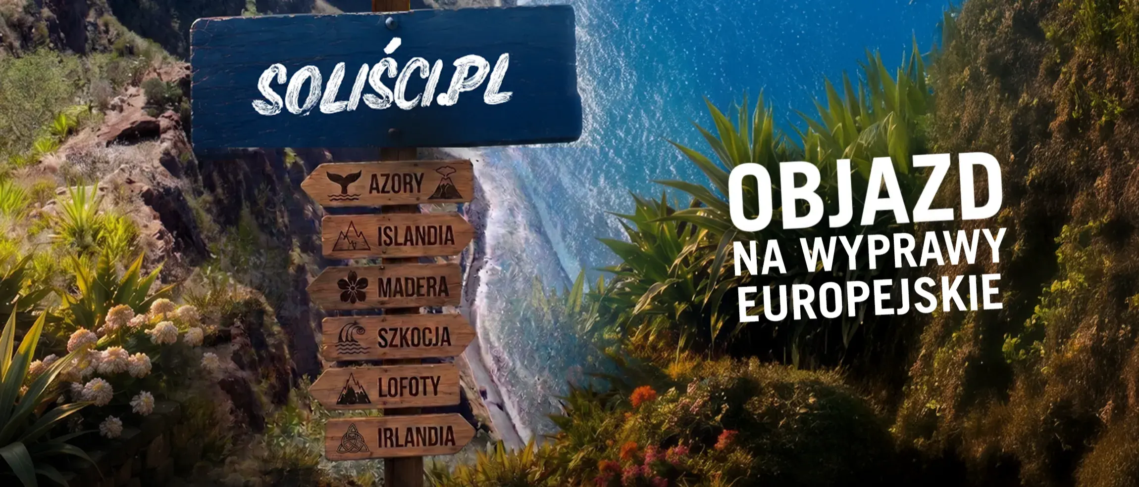 Zdjęcie tła oferty
