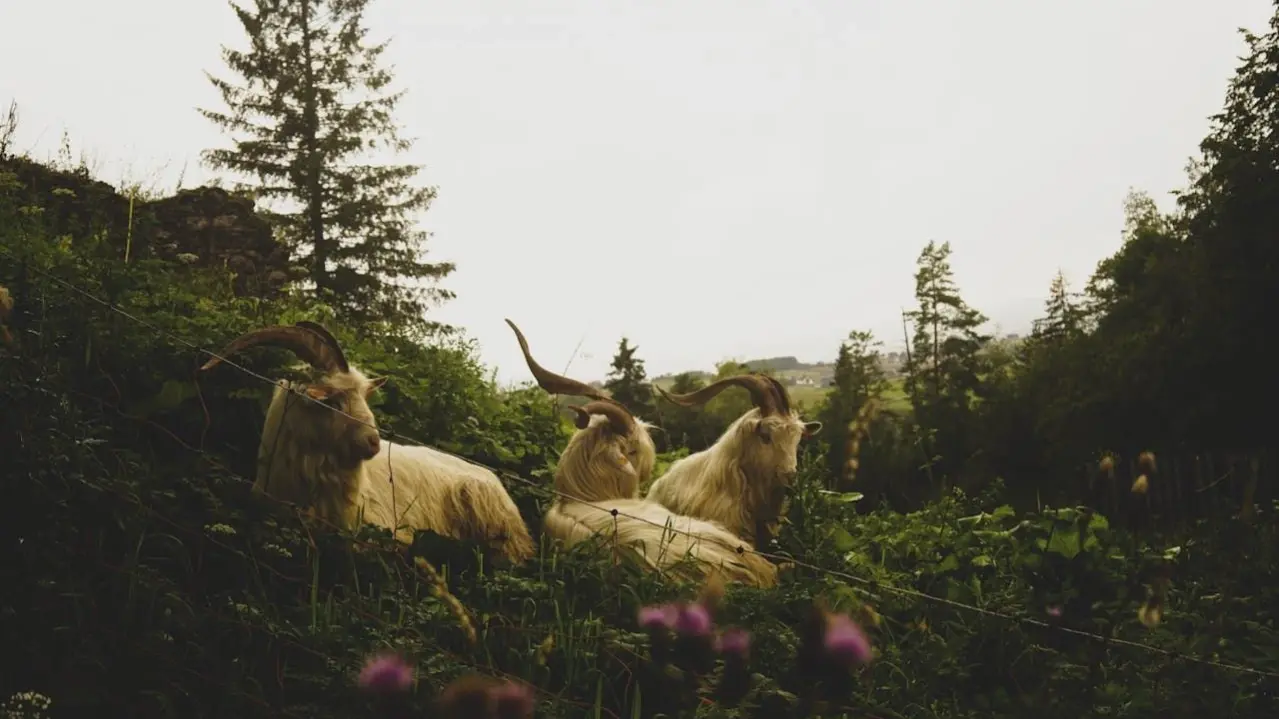 Zdjęcie z programu wyjazdu