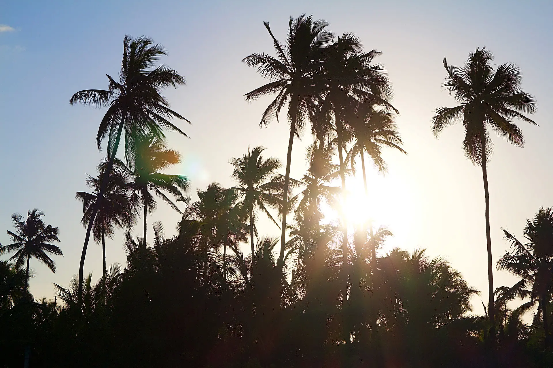 Zdjęcie dodatku podróży