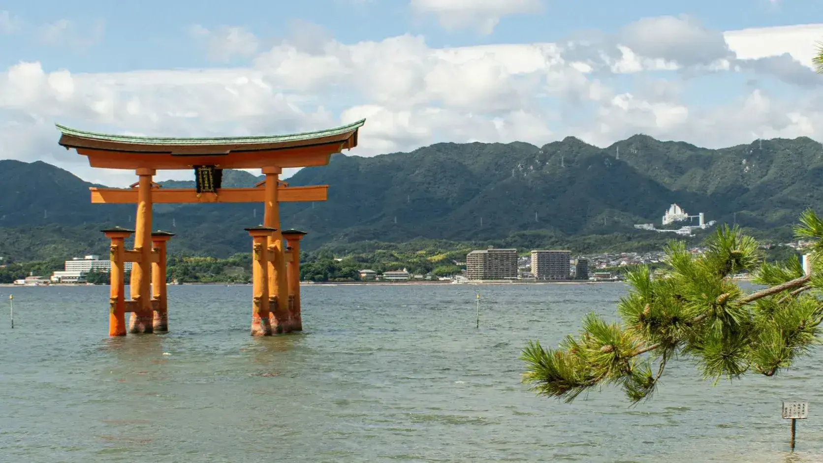 Zdjęcie z programu wyjazdu