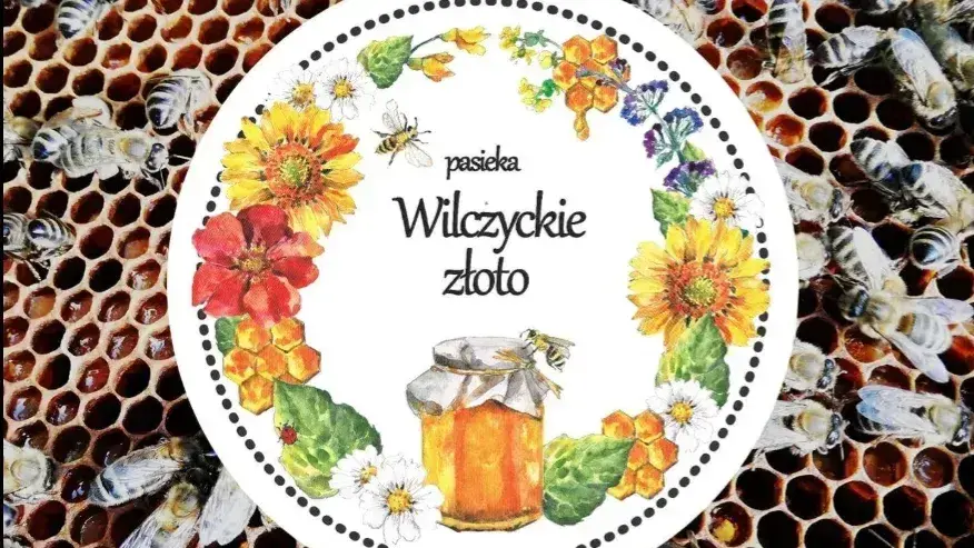 Zdjęcie z galerii