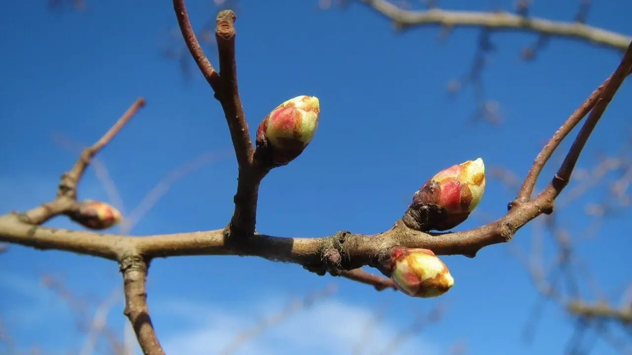Zdjęcie dodatku podróży