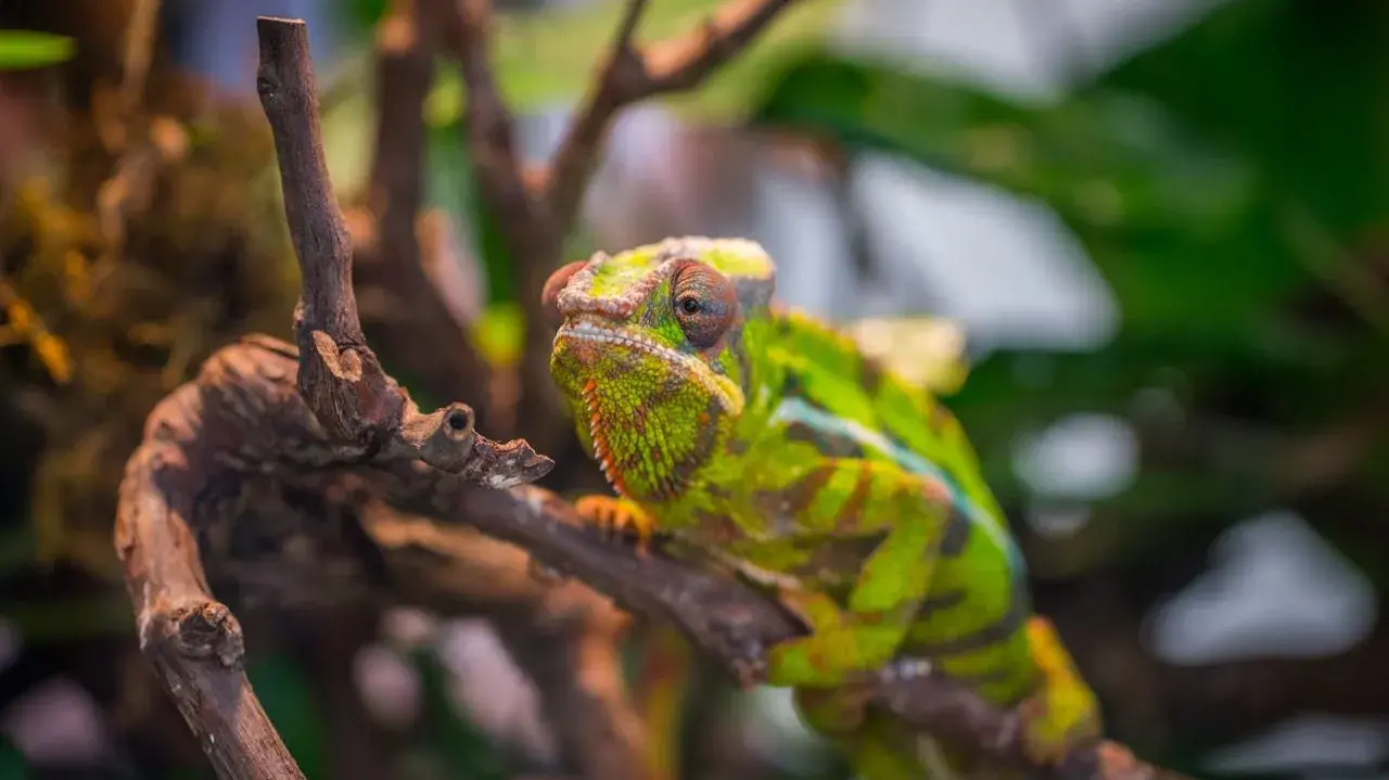 Zdjęcie z programu wyjazdu