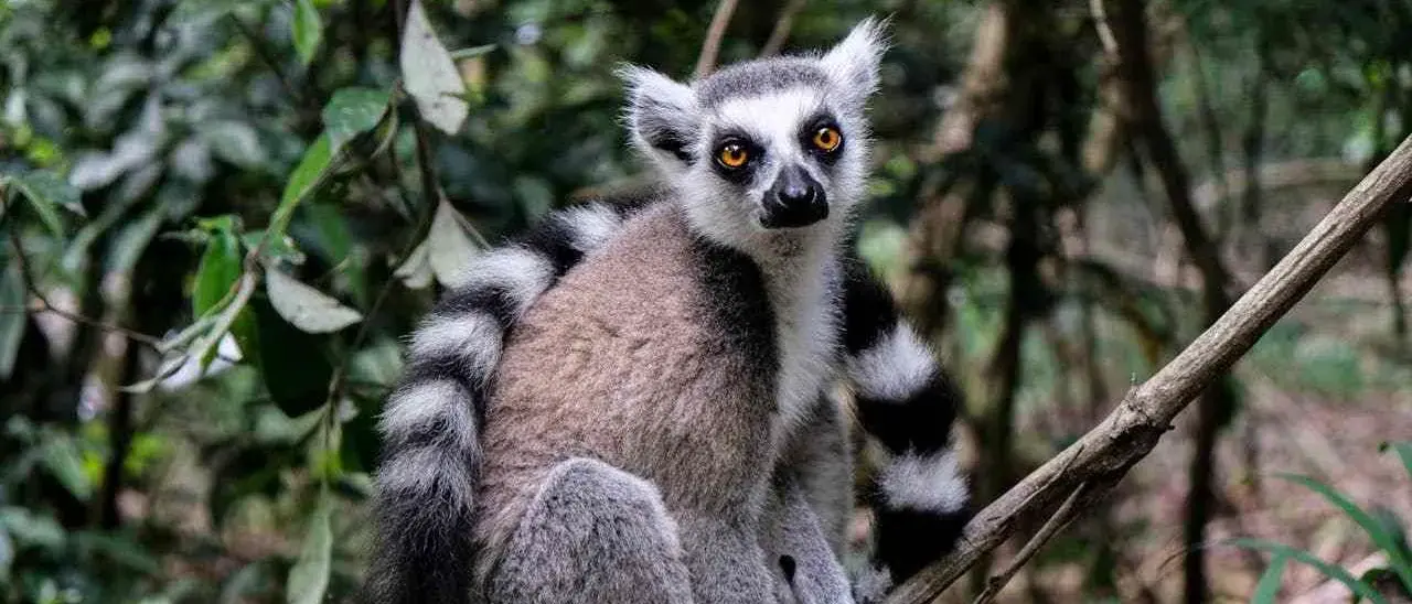 Zdjęcie z programu wyjazdu