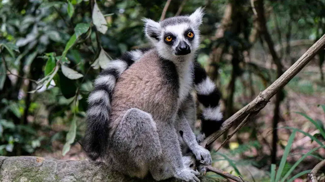 Zdjęcie dodatku podróży