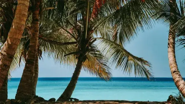 Zdjęcie z programu wyjazdu