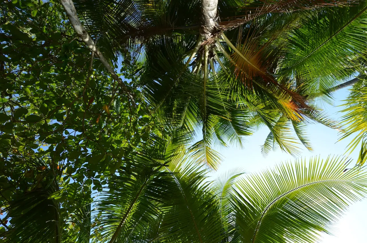 Zdjęcie z programu wyjazdu