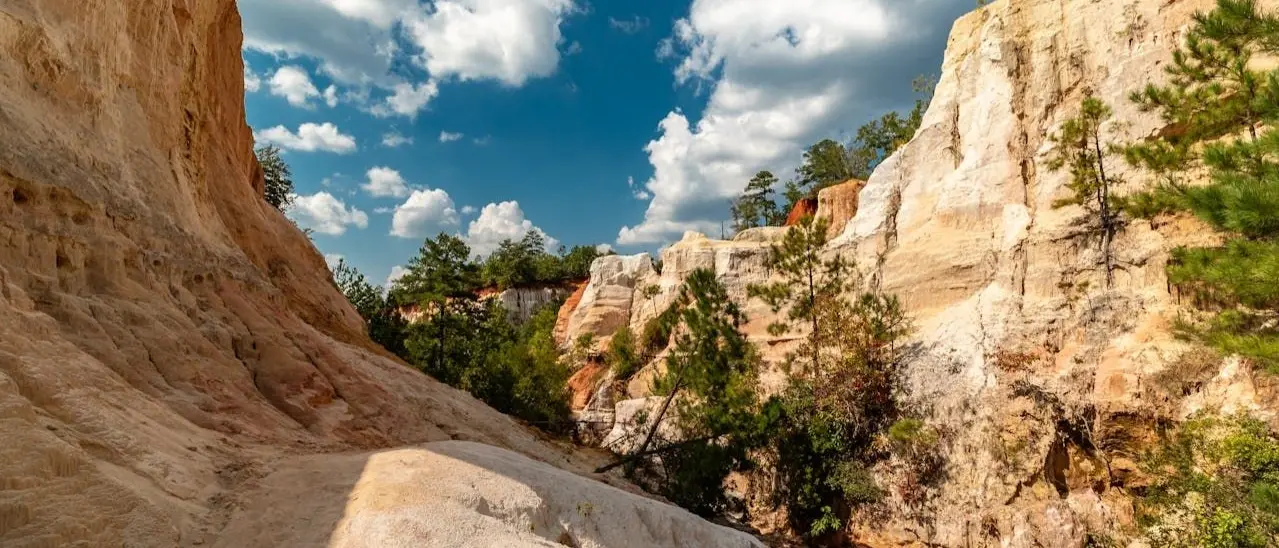 Zdjęcie z programu wyjazdu
