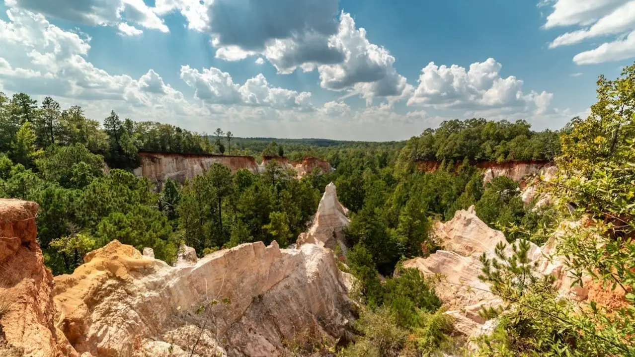 Zdjęcie z programu wyjazdu