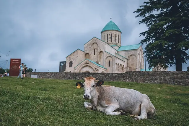 Zdjęcie z programu wyjazdu