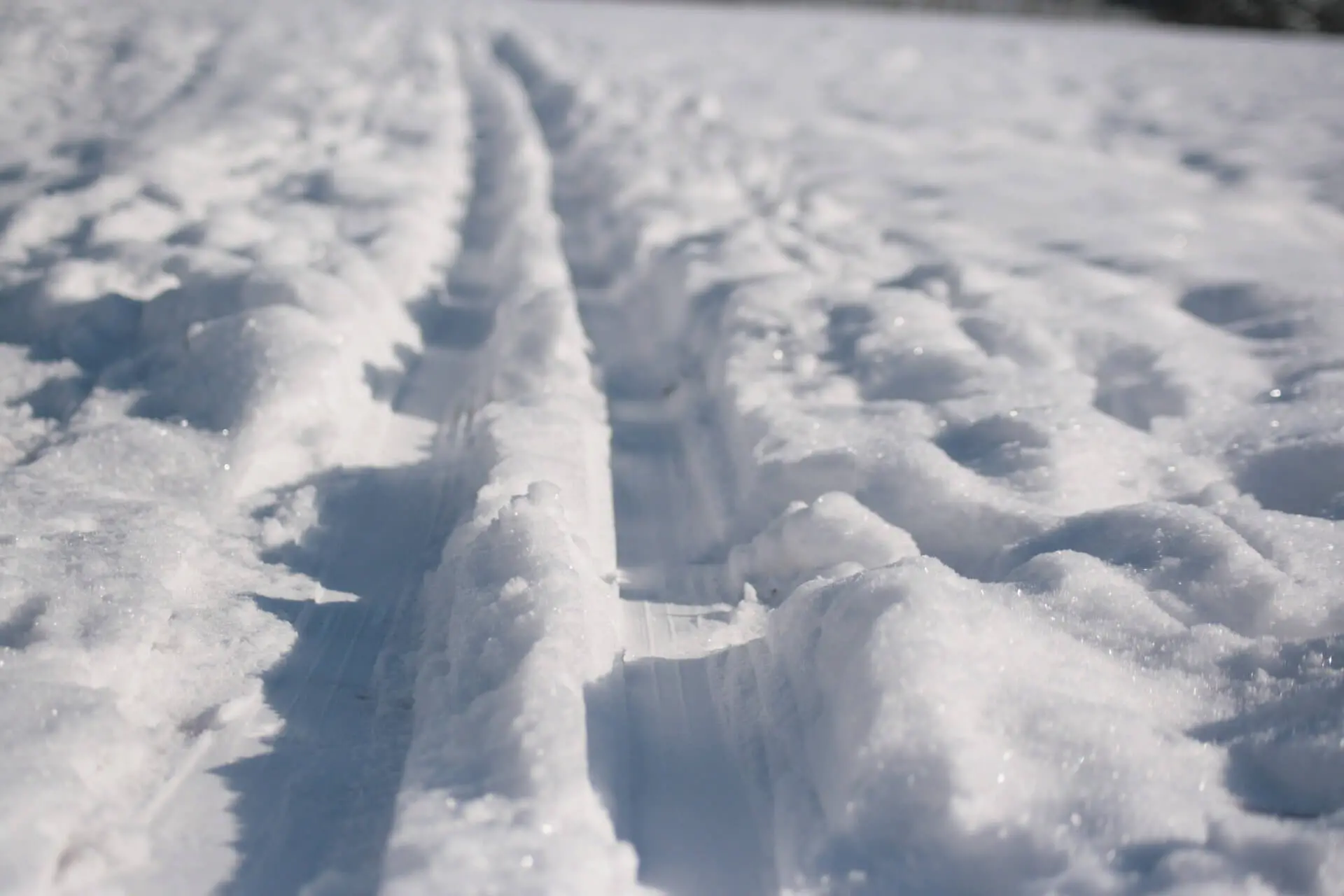 Zdjęcie z programu wyjazdu