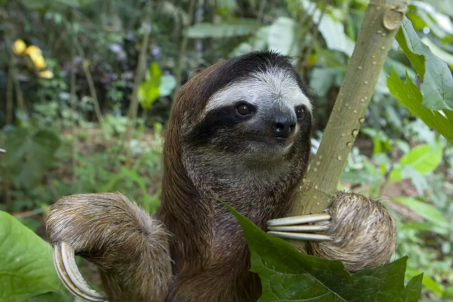 Zdjęcie z programu wyjazdu