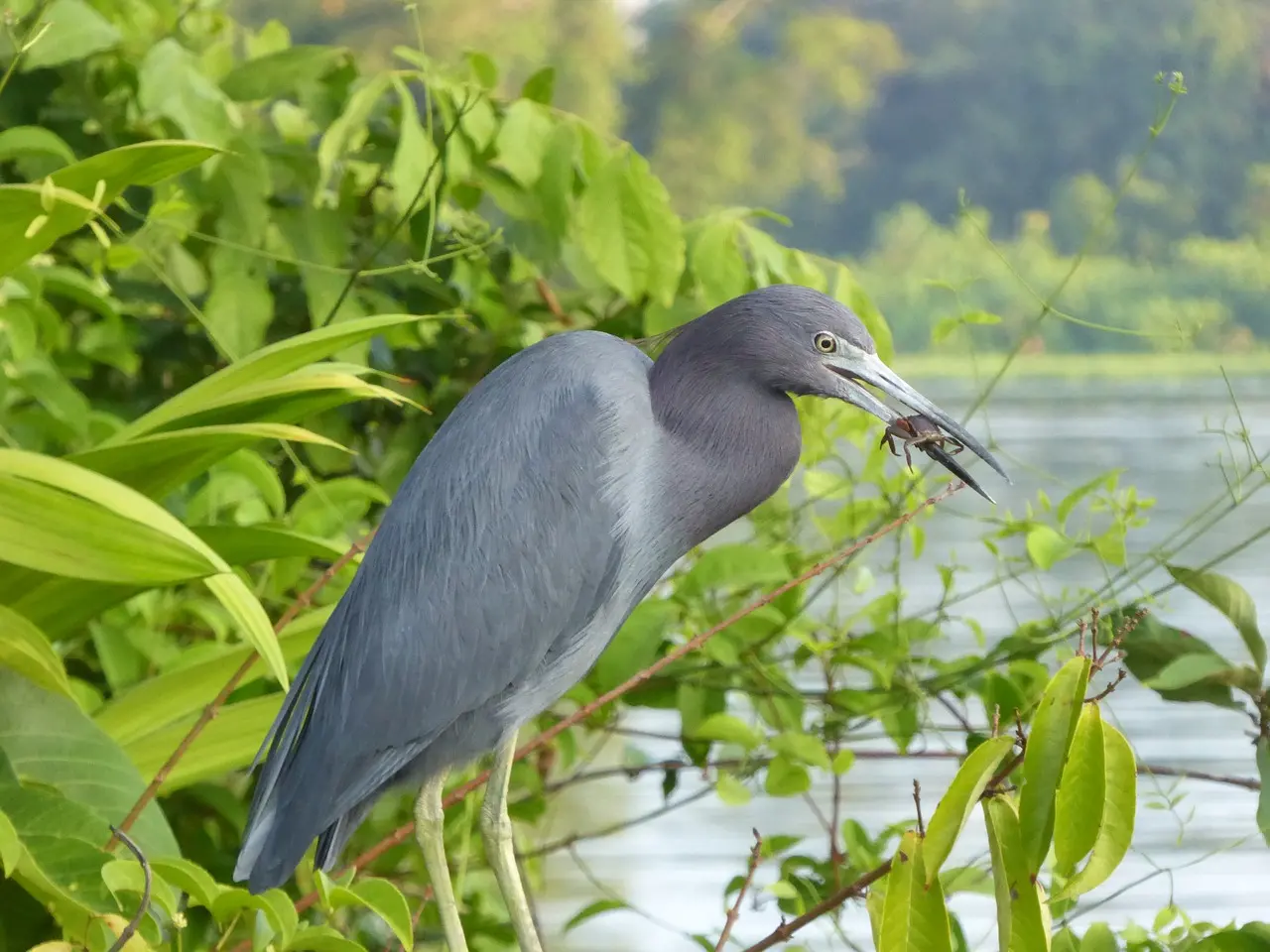 Zdjęcie z programu wyjazdu